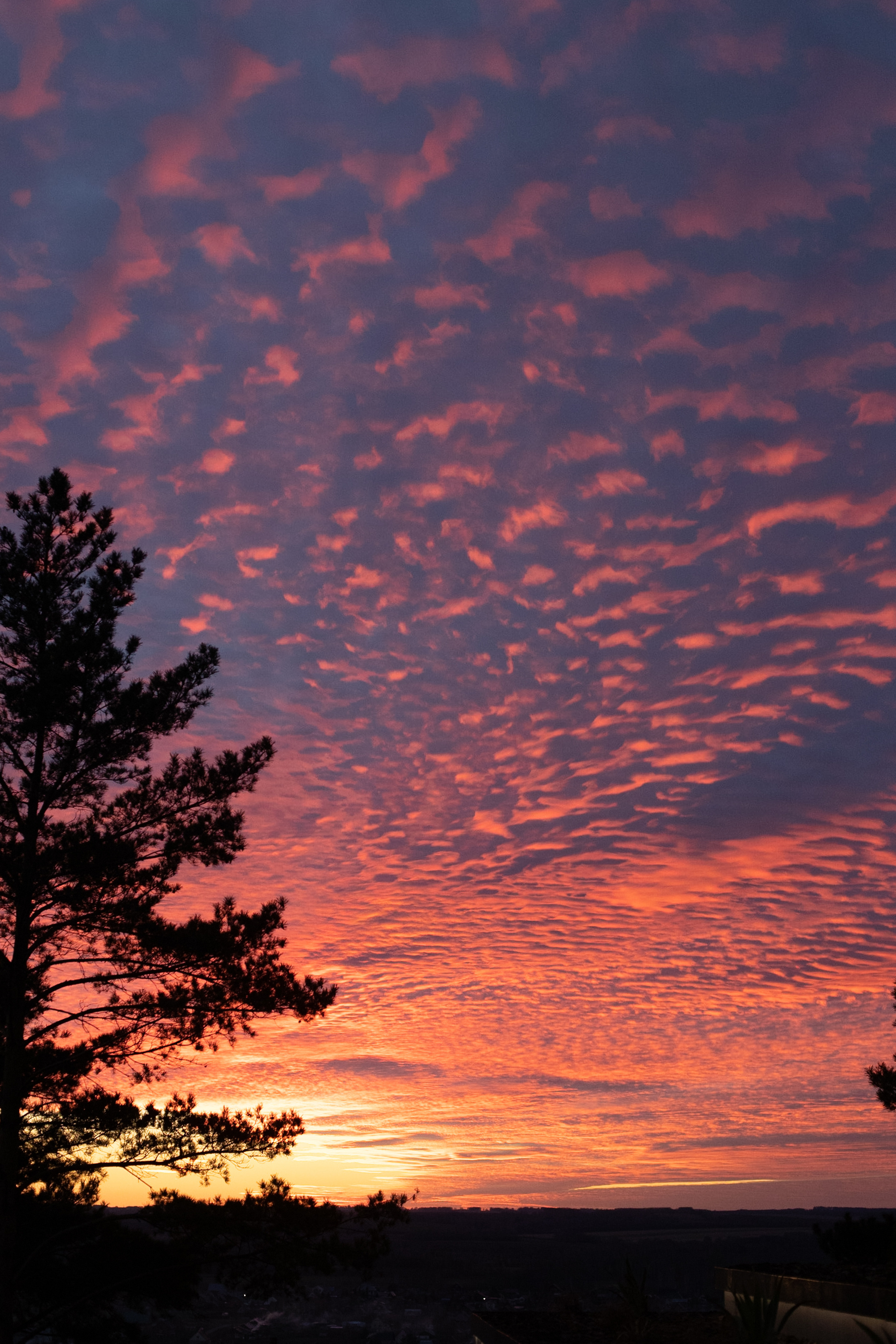 Backstage со съемок Jose Production | 2021