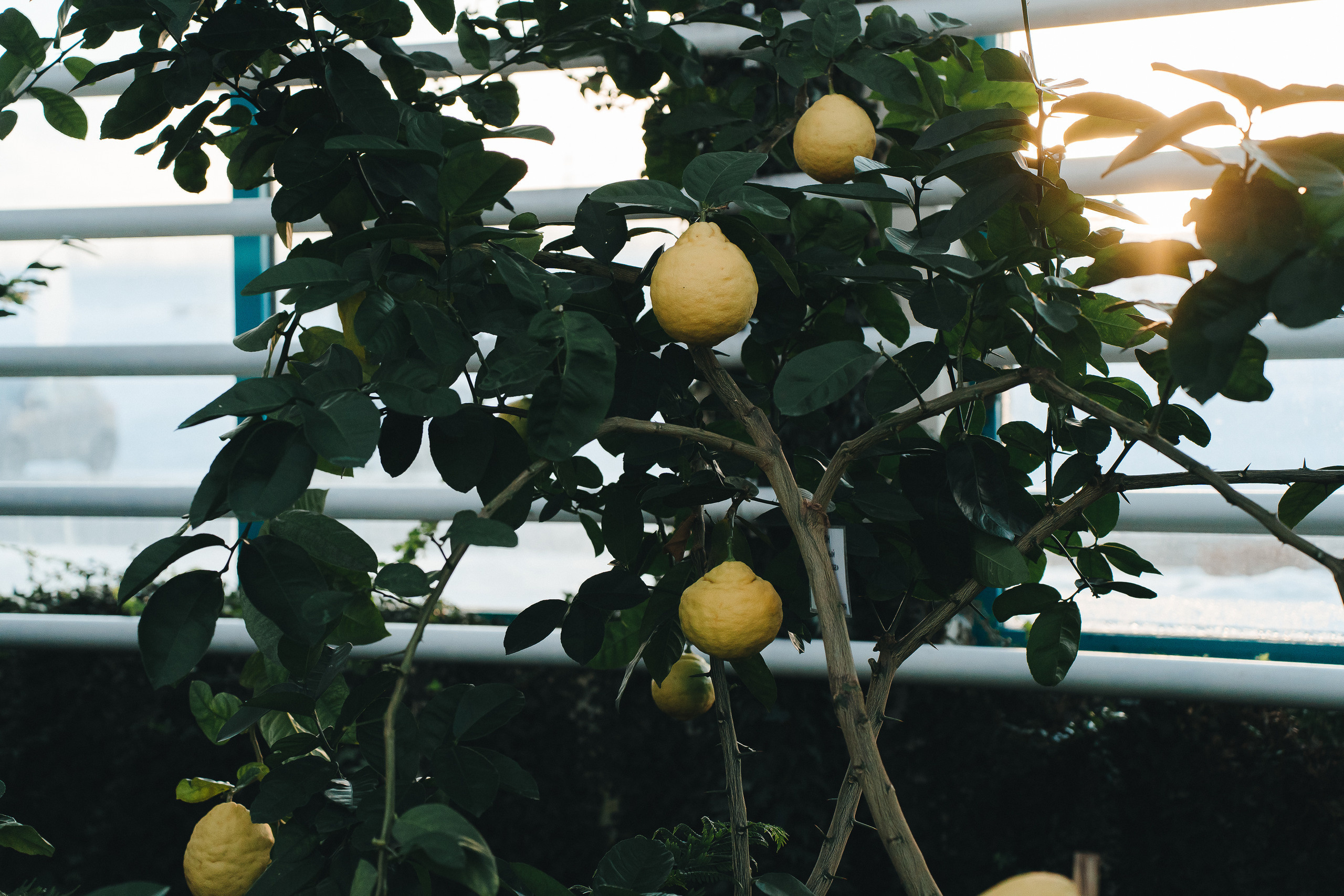 Региональный фестиваль добровольцев «Делаем добро в Кузбассе» | ЛДК | 2022