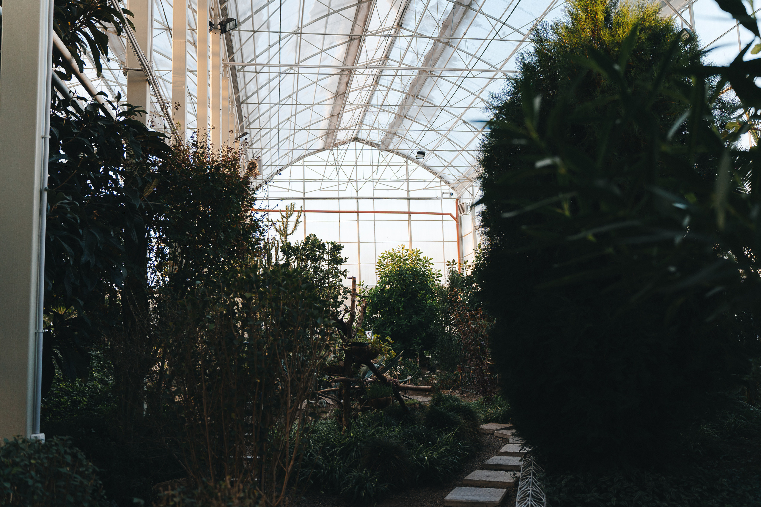 Региональный фестиваль добровольцев «Делаем добро в Кузбассе» | ЛДК | 2022