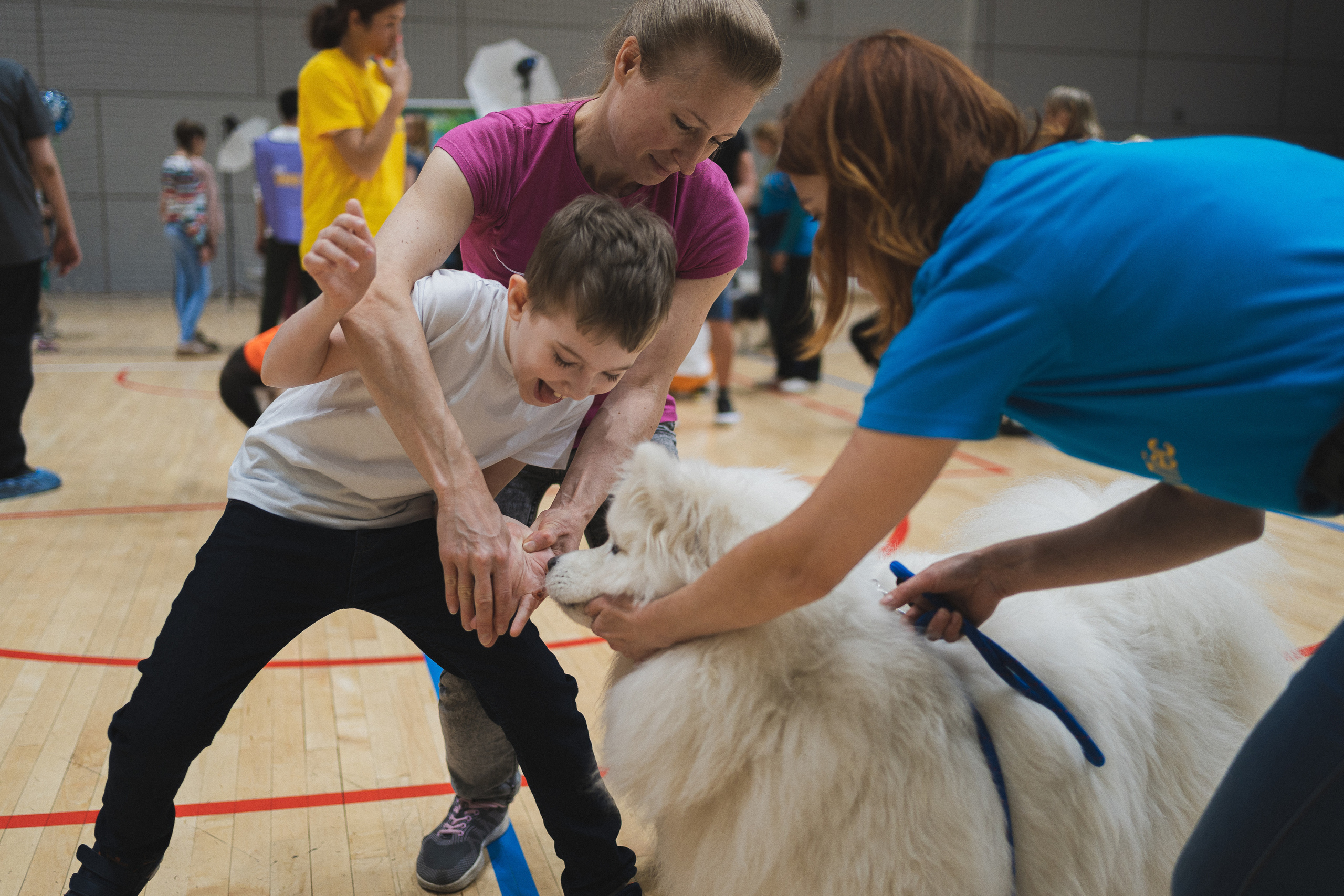 Семейный праздник «Доктор пес & компания» | 2022