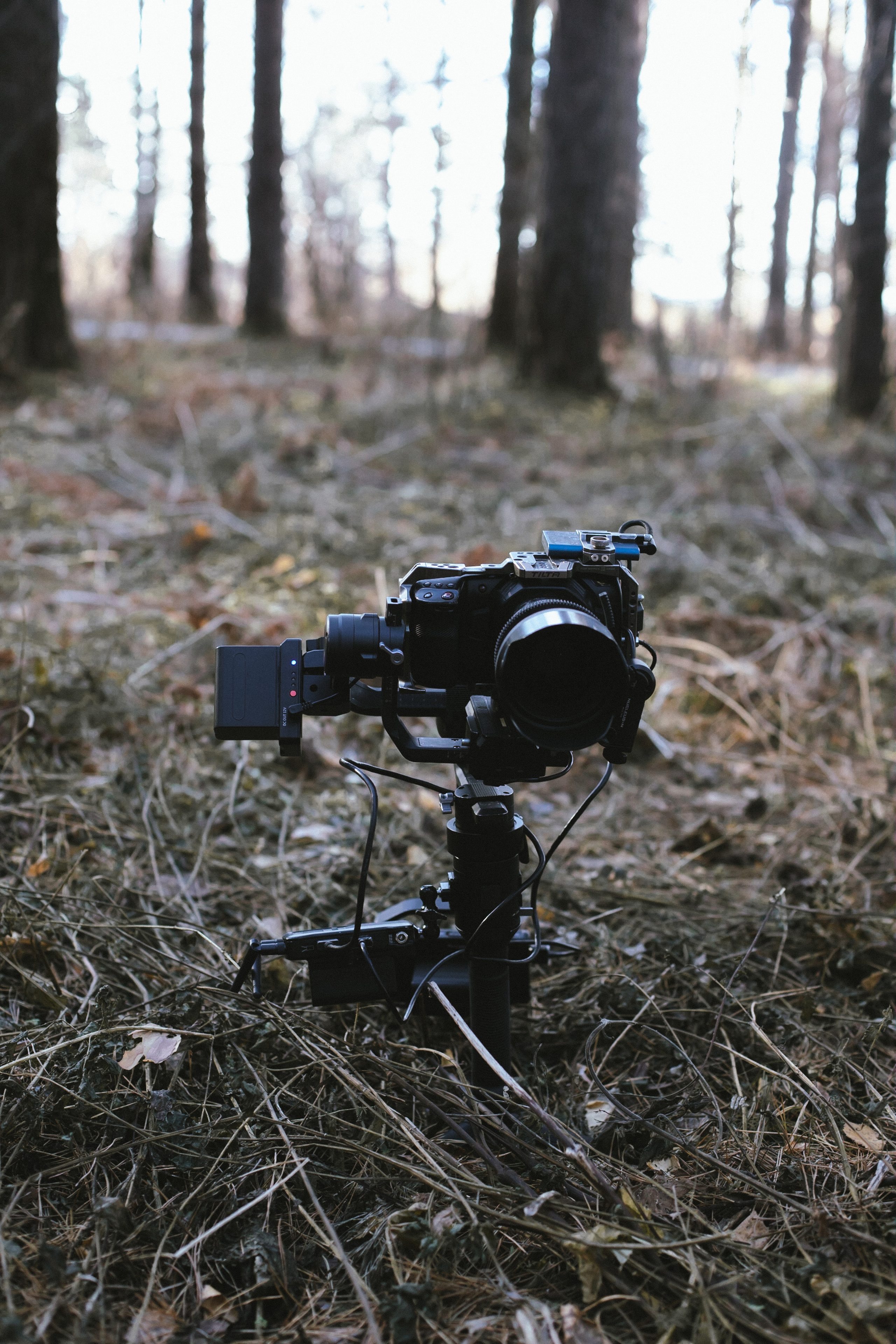 Backstage со съемок Jose Production | 2021