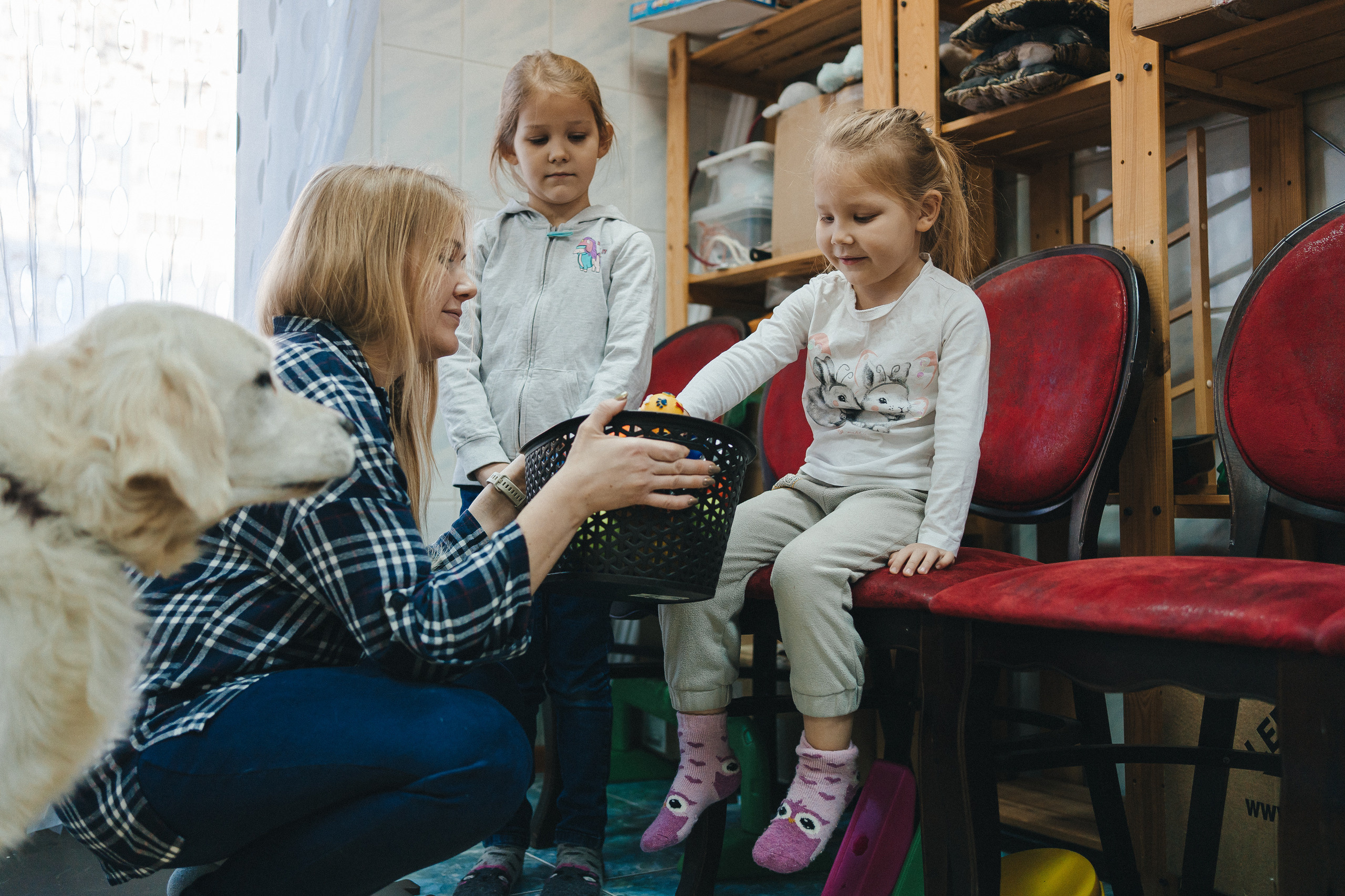 Доктор Пес: канистерапия для детей и подростков с ОВЗ | Кемерово | 2021-2022