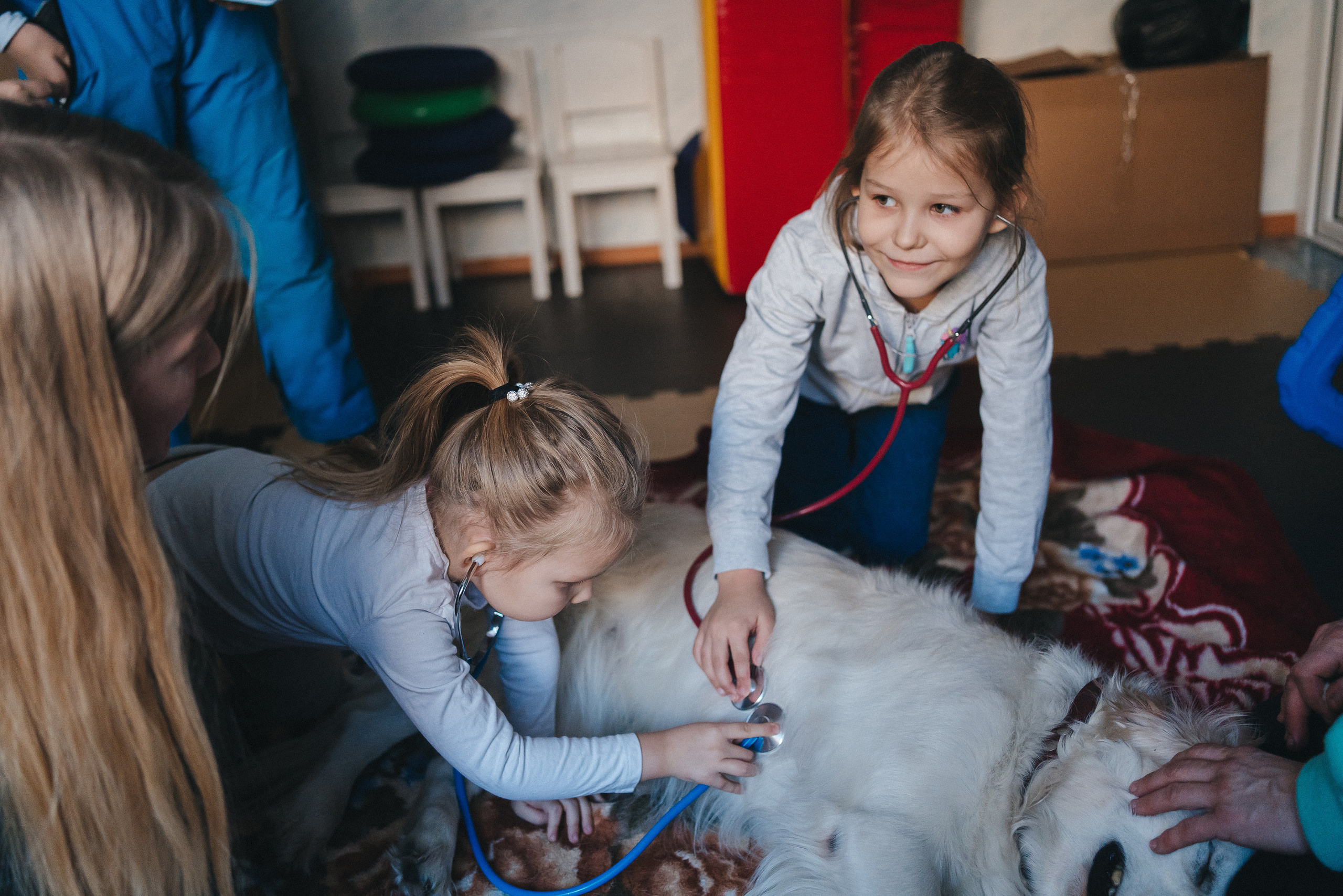 Доктор Пес: канистерапия для детей и подростков с ОВЗ | Кемерово | 2021-2022