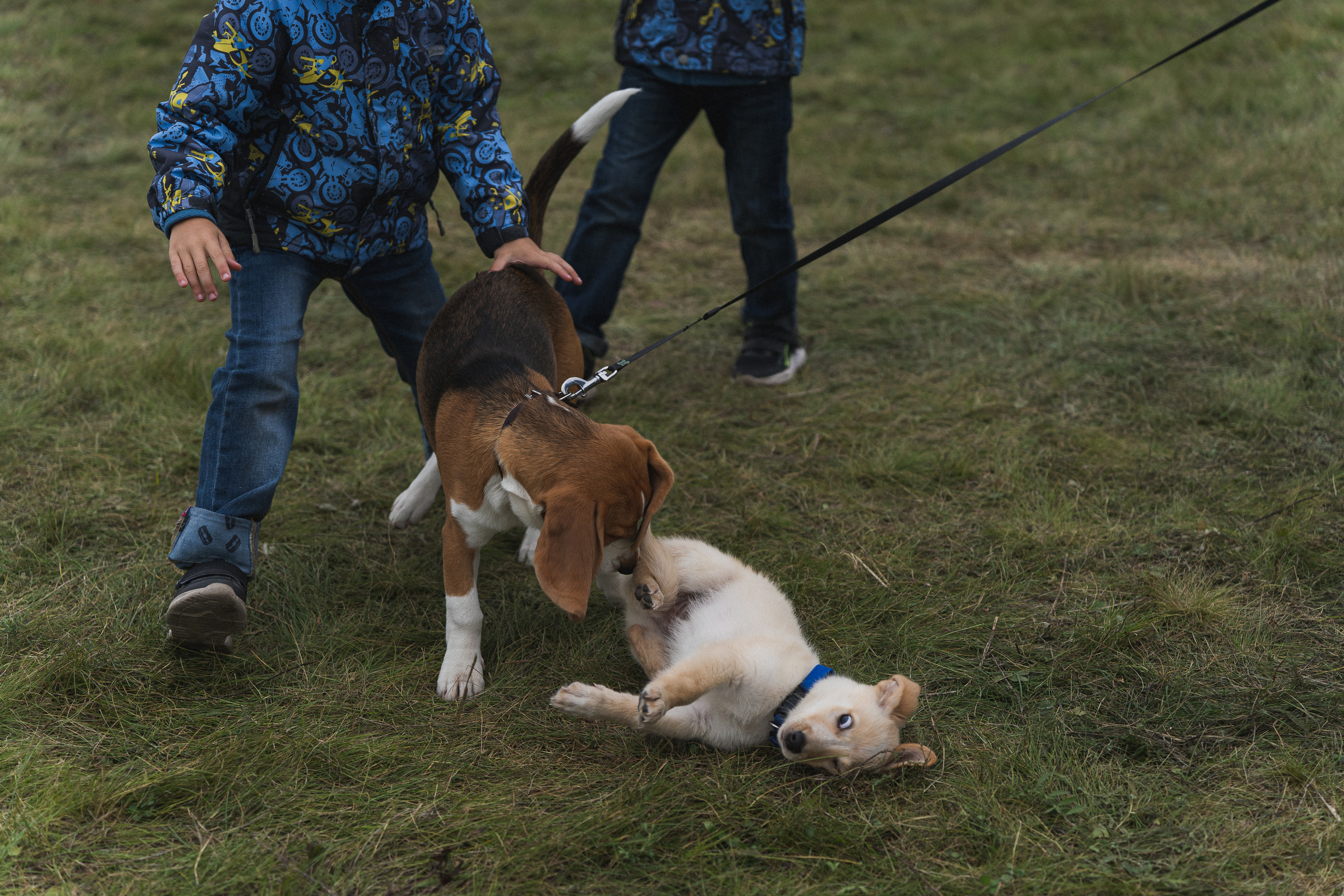 Мультимедийный фестиваль «НЕБОФЕСТ-2022» | Кемерово