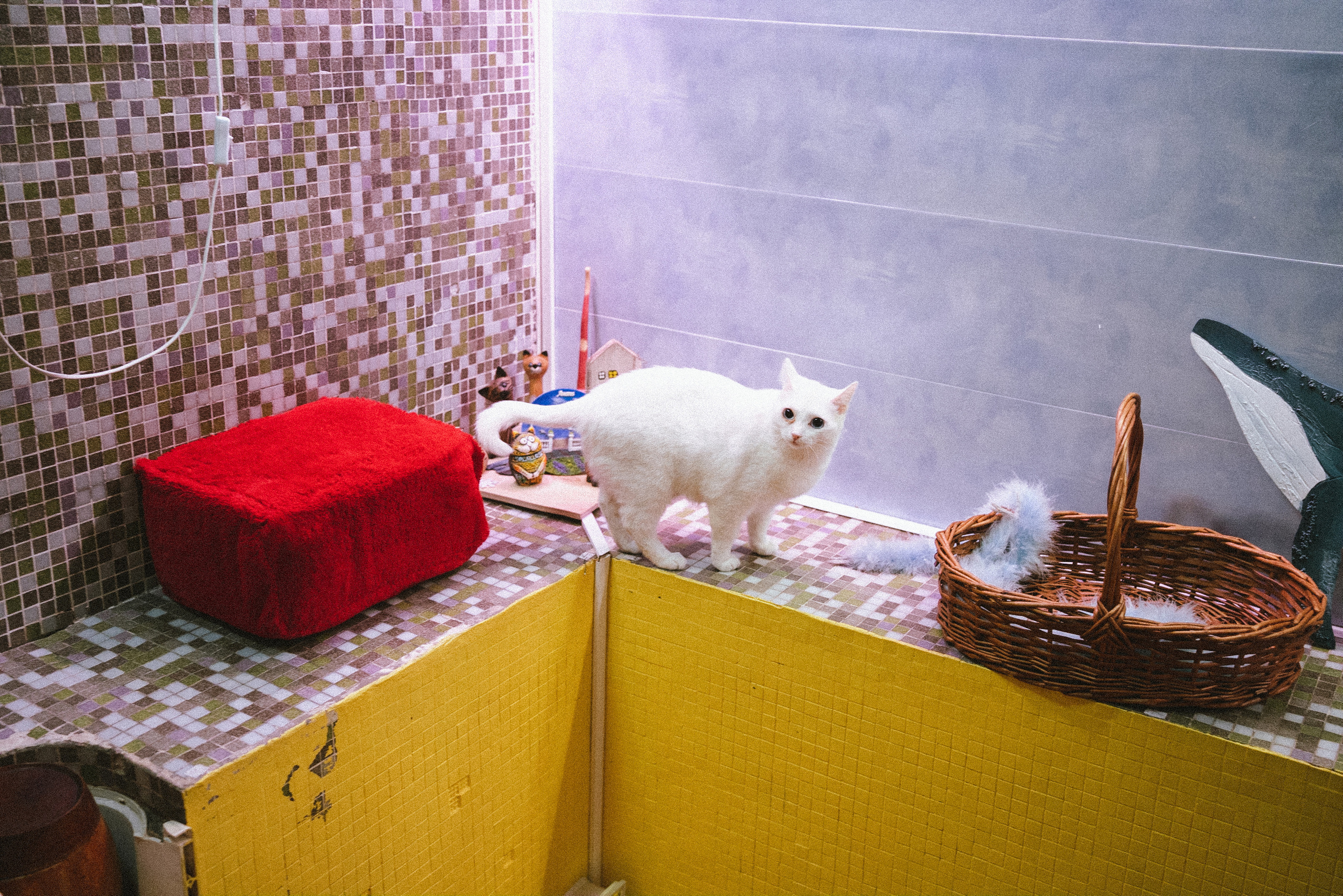 Всероссийская обучающая стажировка АВЦ в Кузбассе | 2022 | Кем-Белово-Новокуз