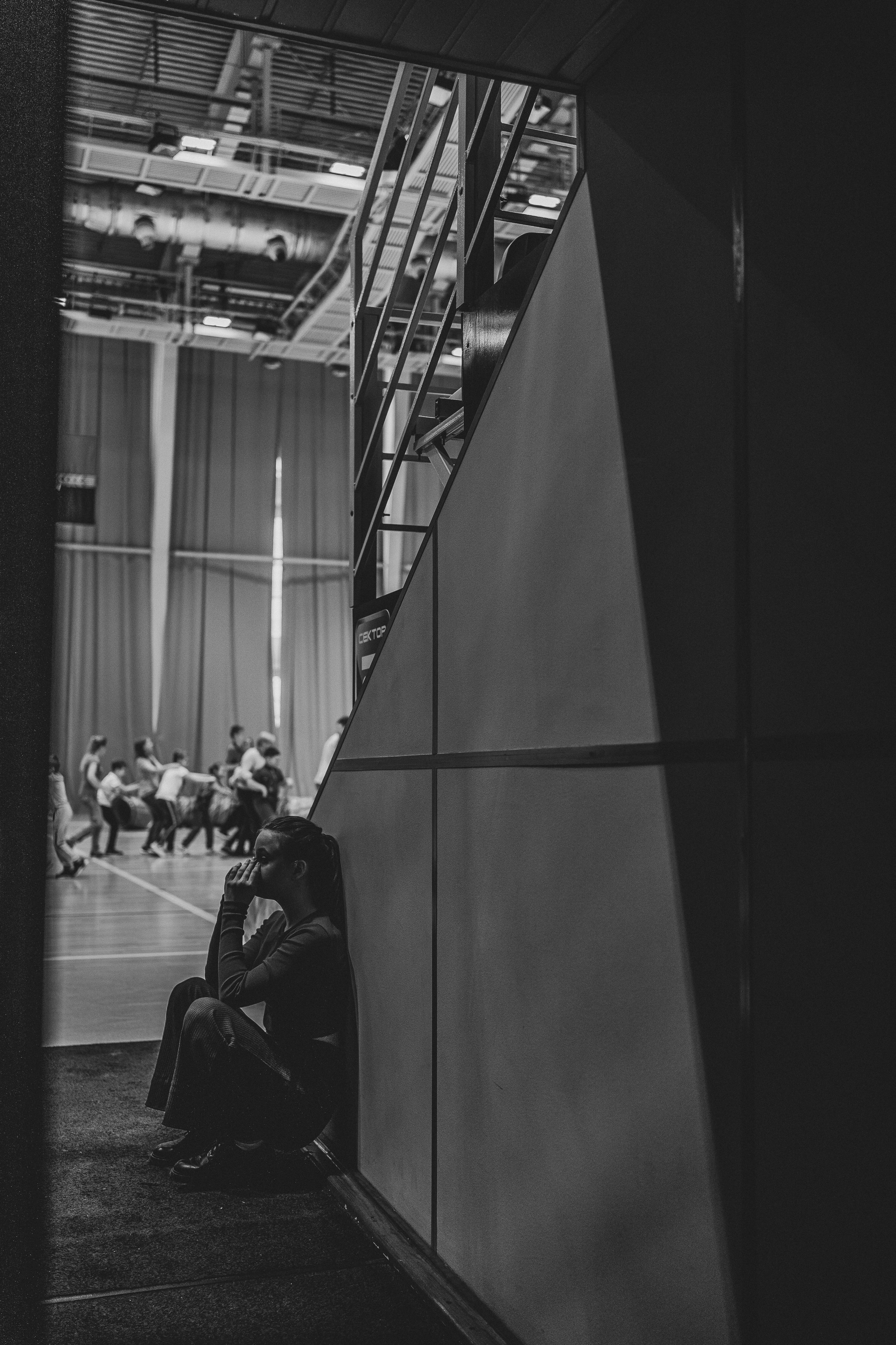 Семейный праздник «Доктор пес & компания» | 2022