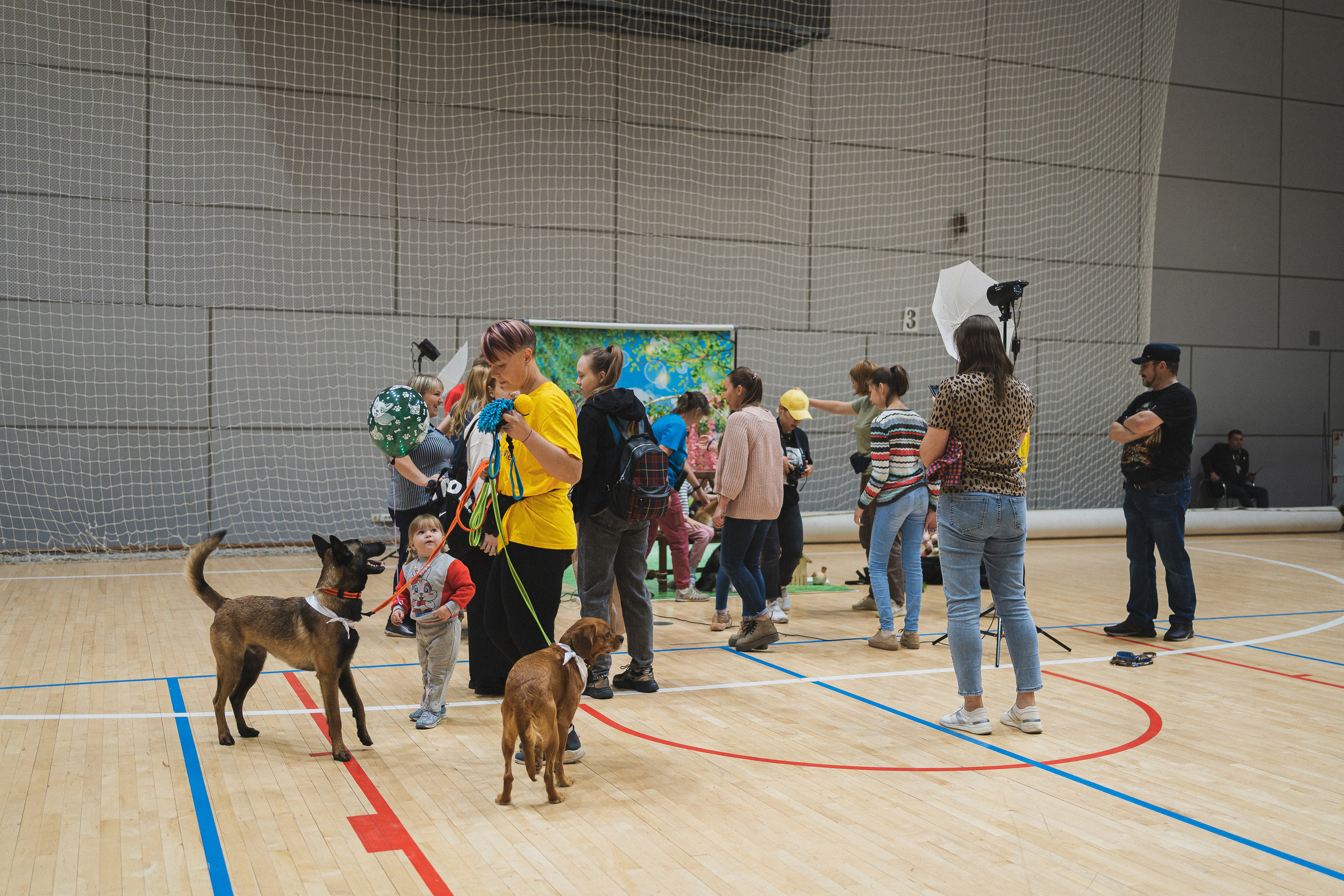 Семейный праздник «Доктор пес & компания» | 2022