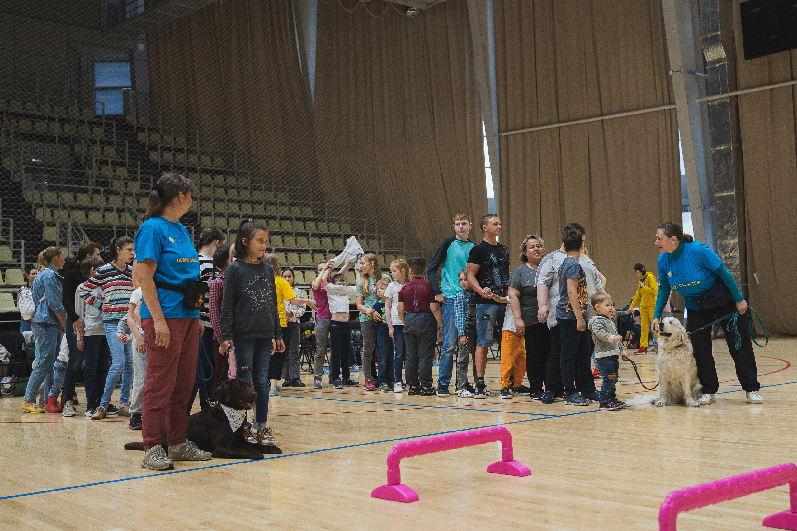 Семейный праздник «Доктор пес & компания» | 2022