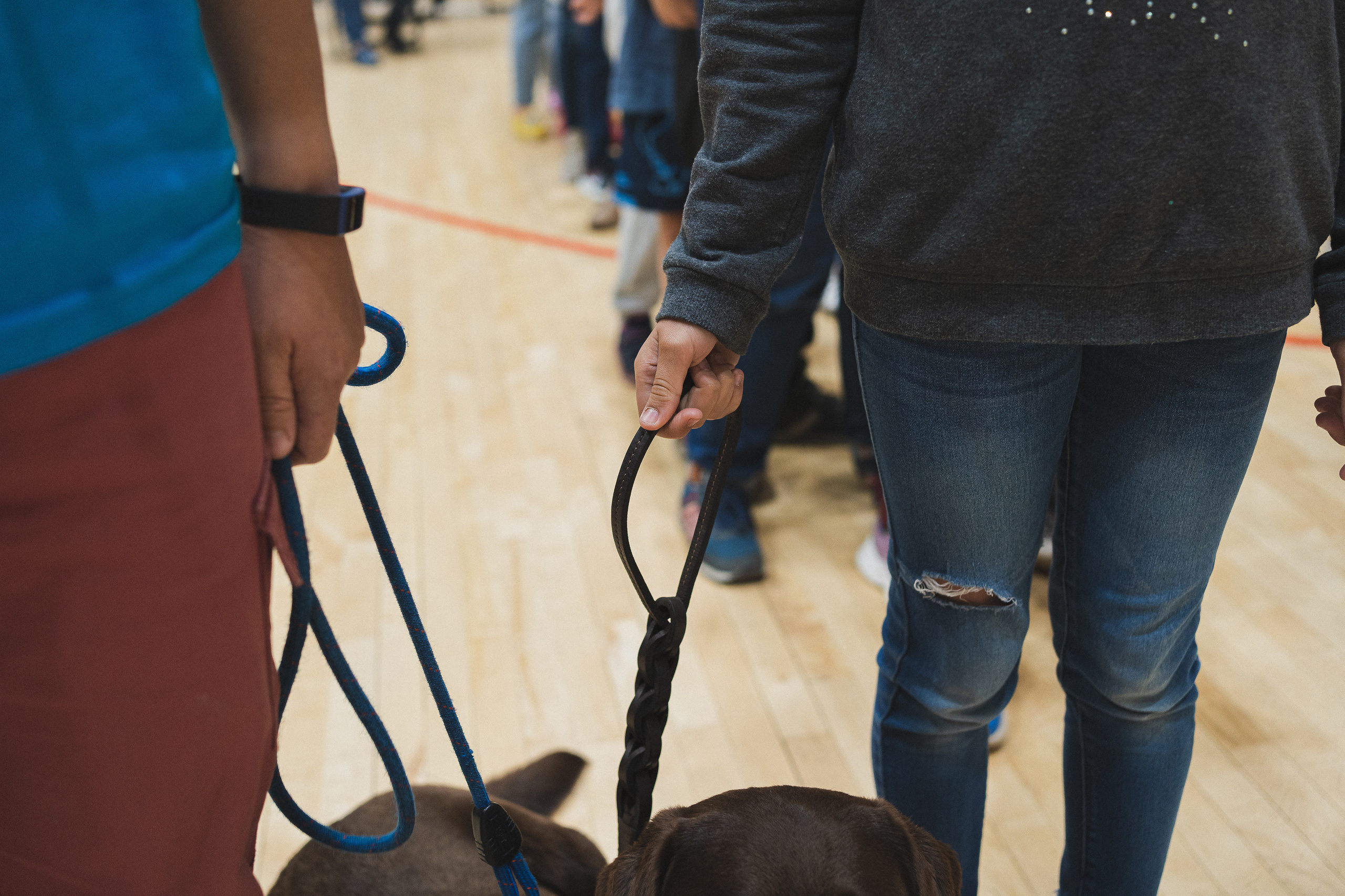 Семейный праздник «Доктор пес & компания» | 2022