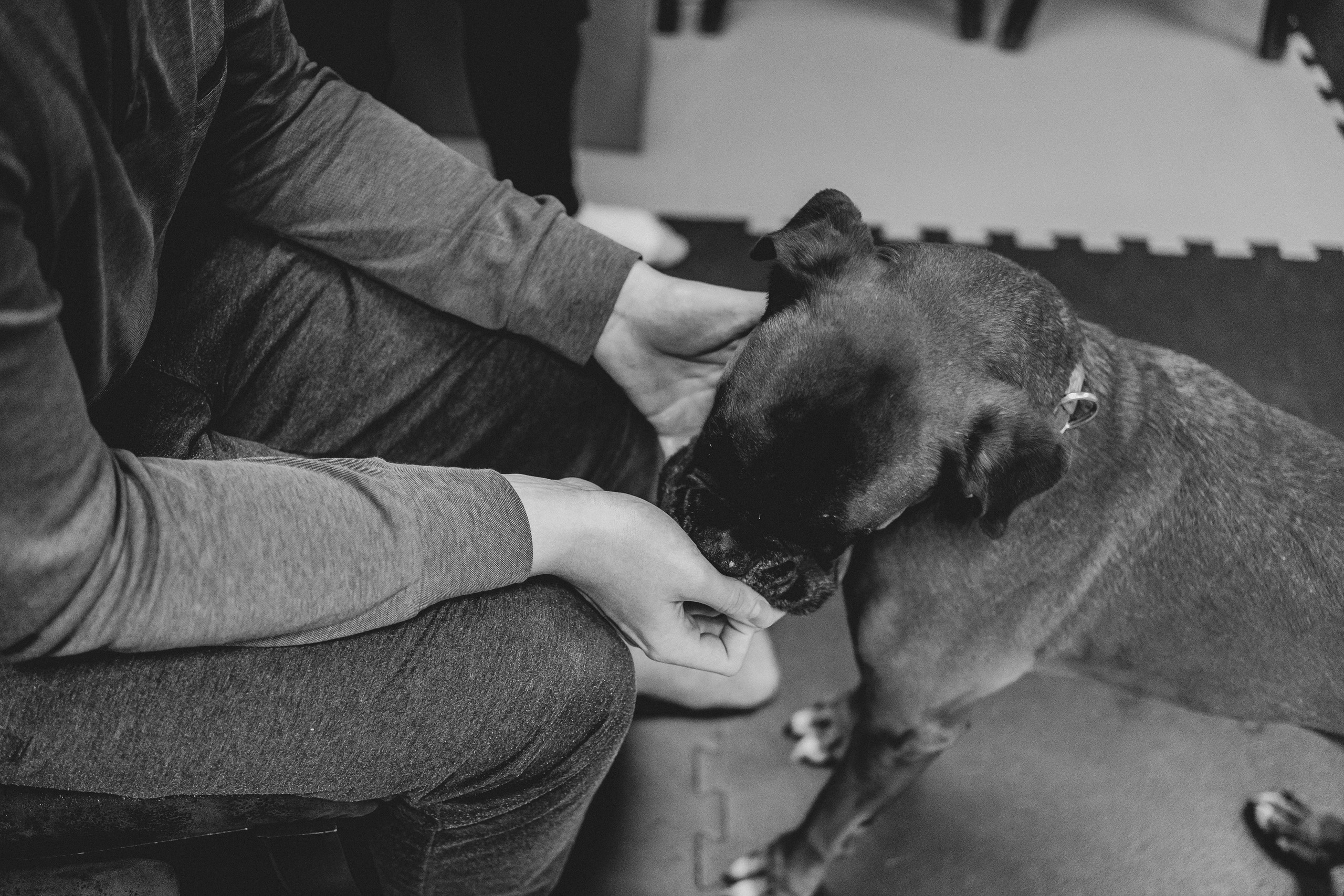 Доктор Пес: канистерапия для детей и подростков с ОВЗ | Кемерово | 2021-2022