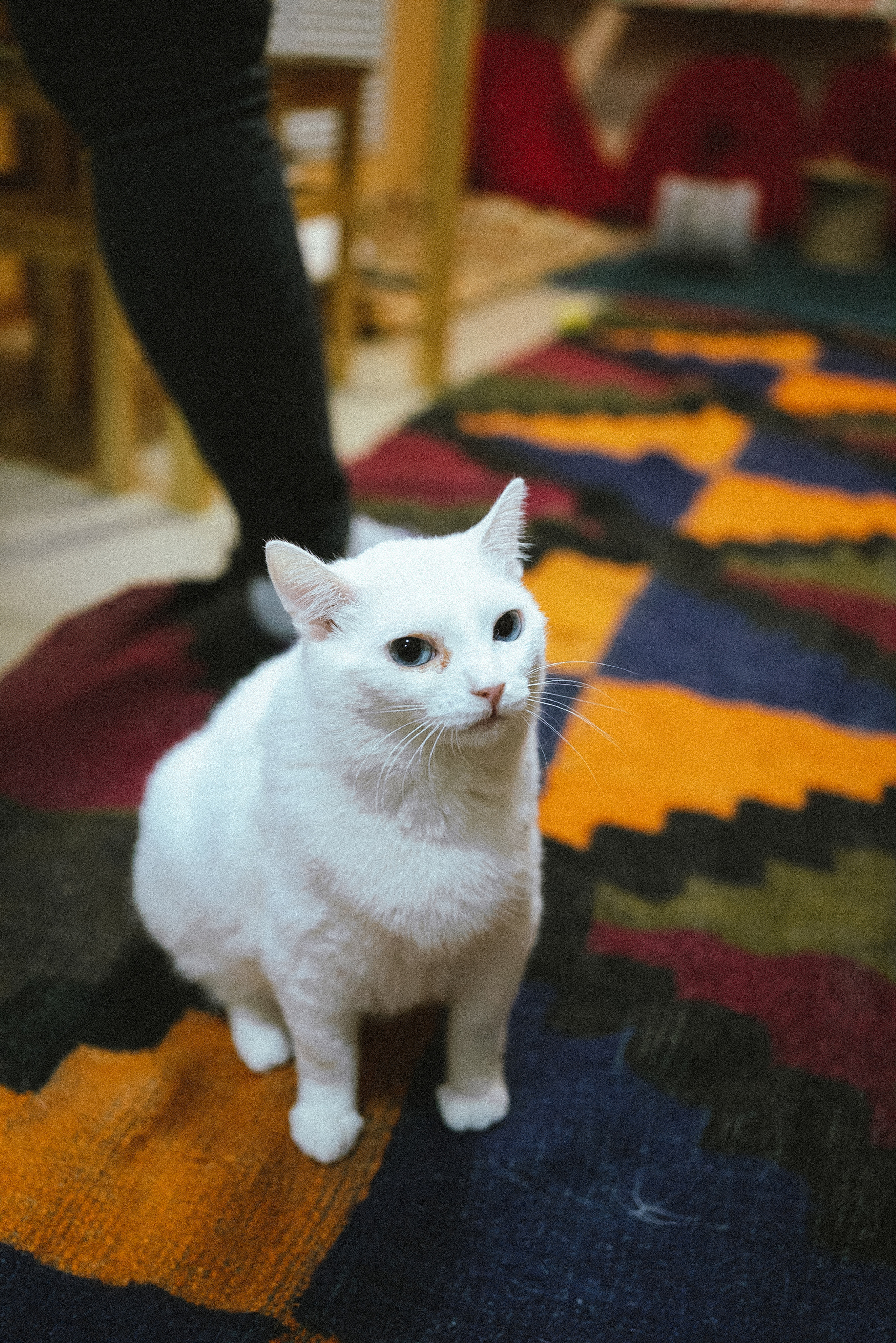 Всероссийская обучающая стажировка АВЦ в Кузбассе | 2022 | Кем-Белово-Новокуз