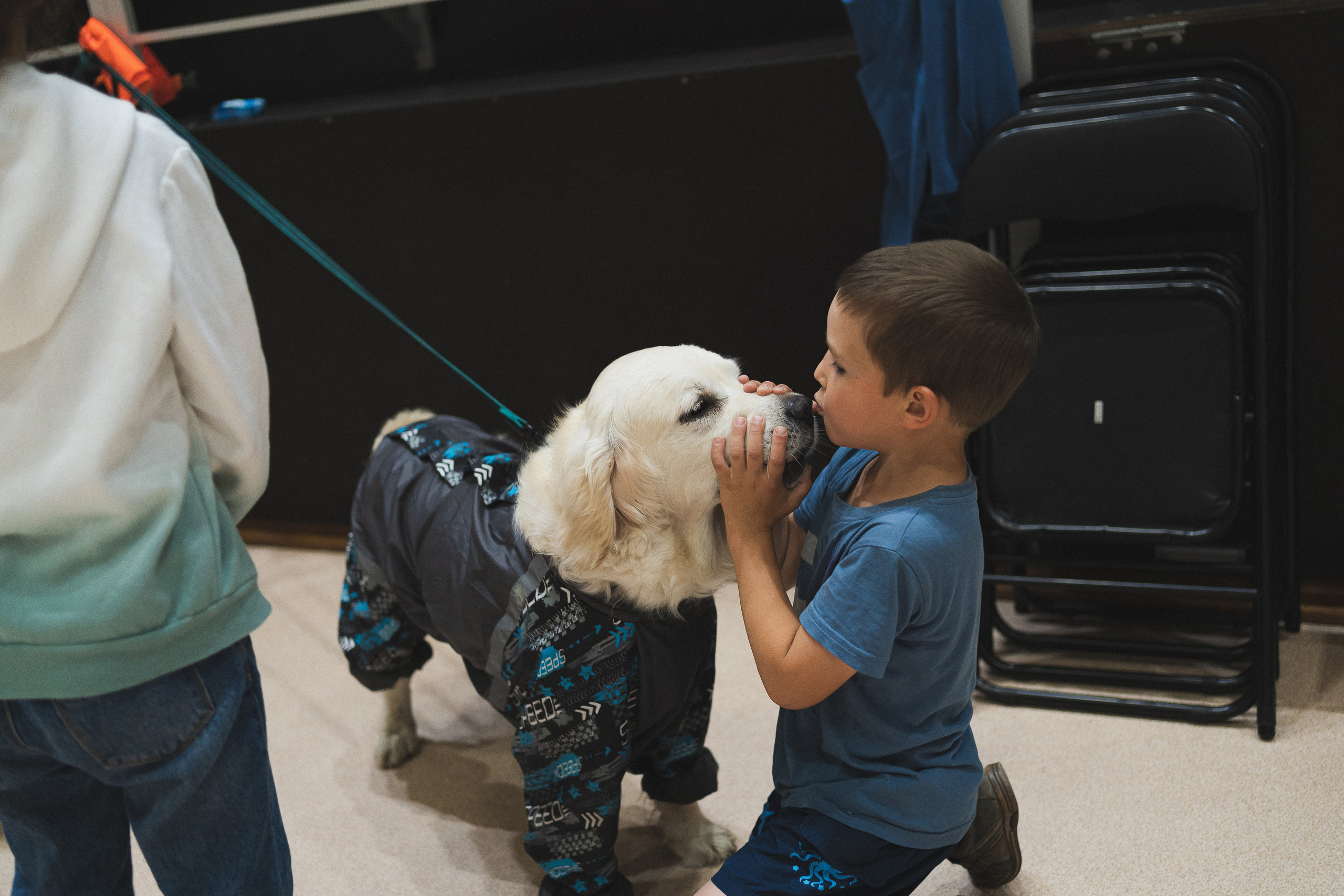 Семейный праздник «Доктор пес & компания» | 2022