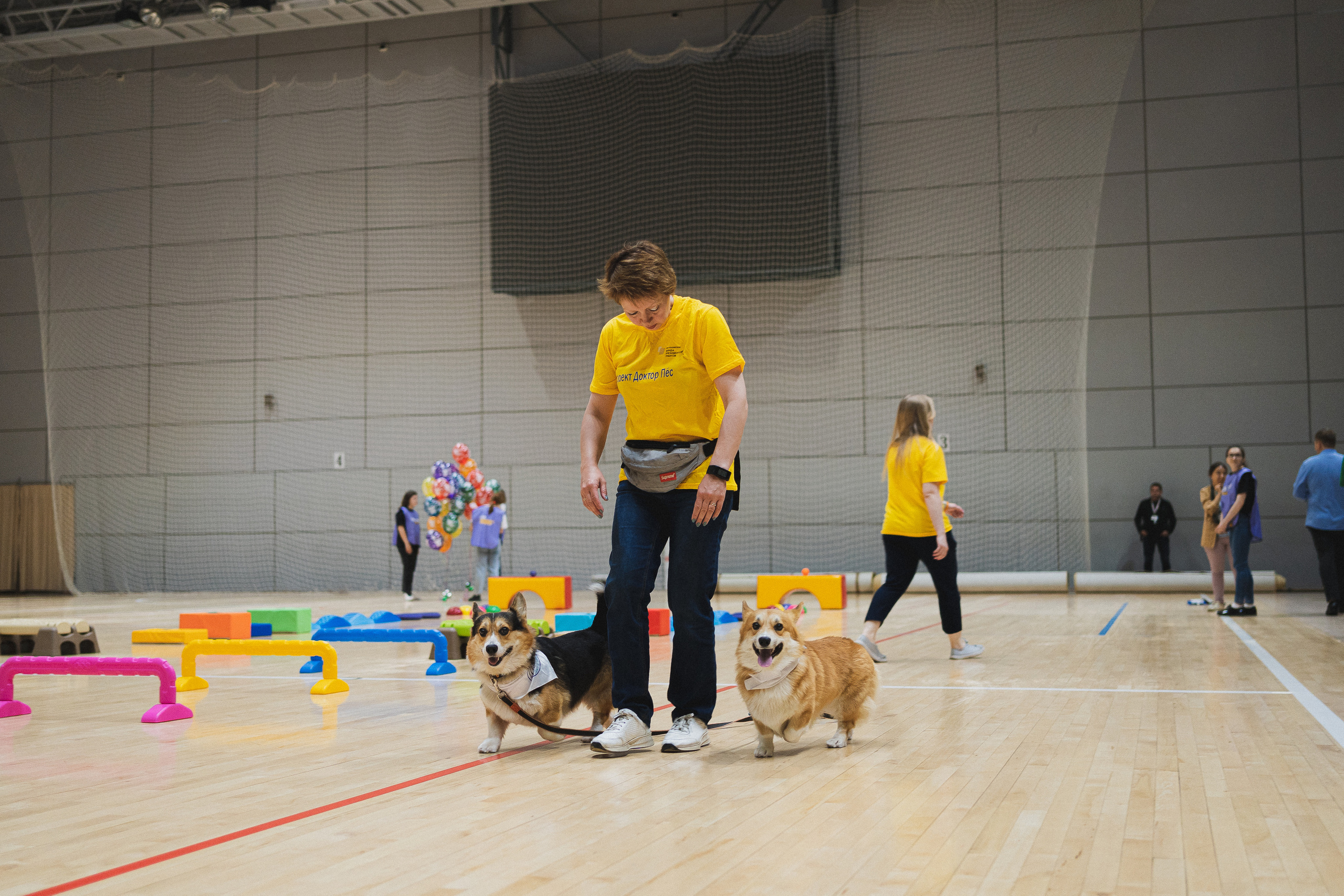 Семейный праздник «Доктор пес & компания» | 2022