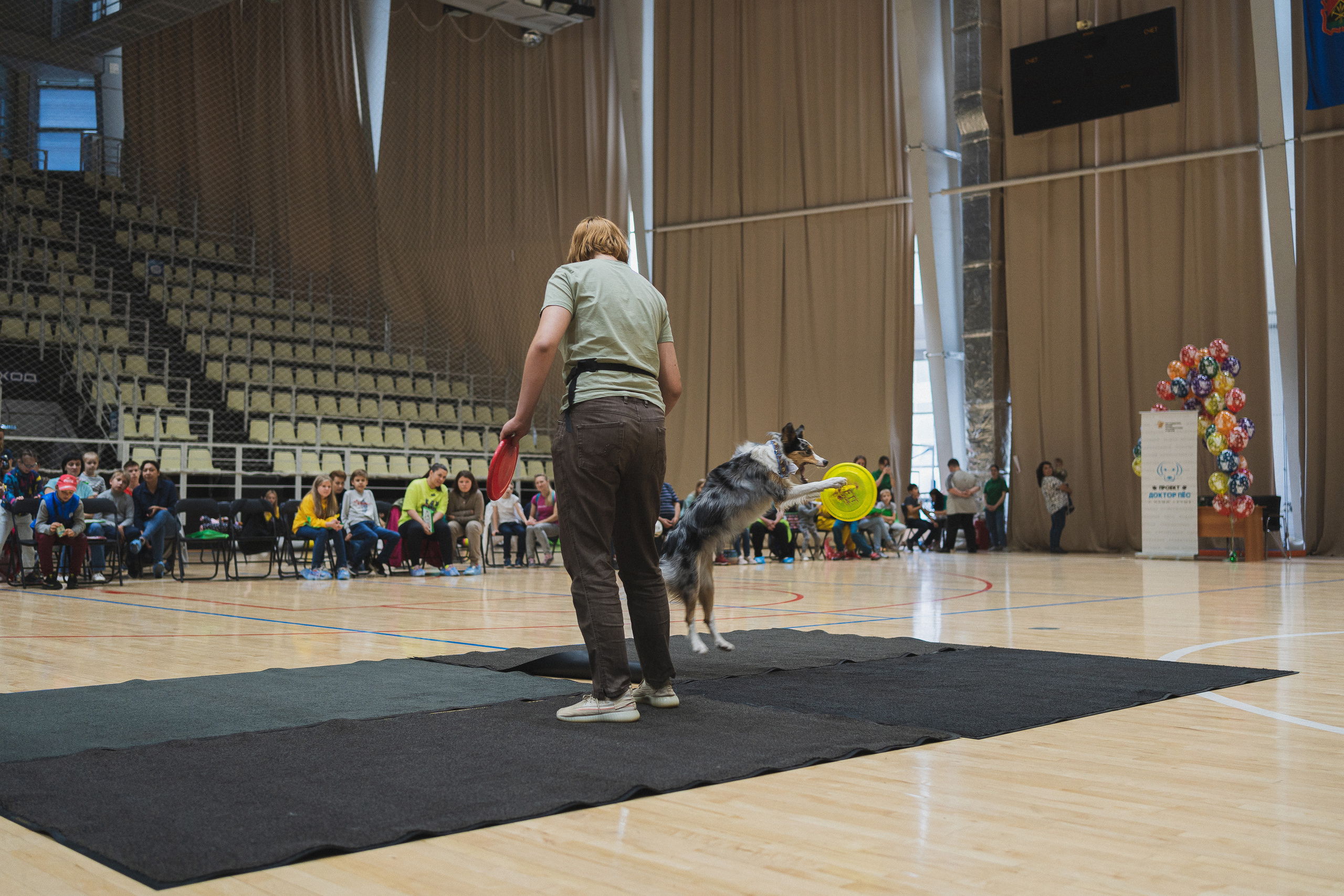 Семейный праздник «Доктор пес & компания» | 2022