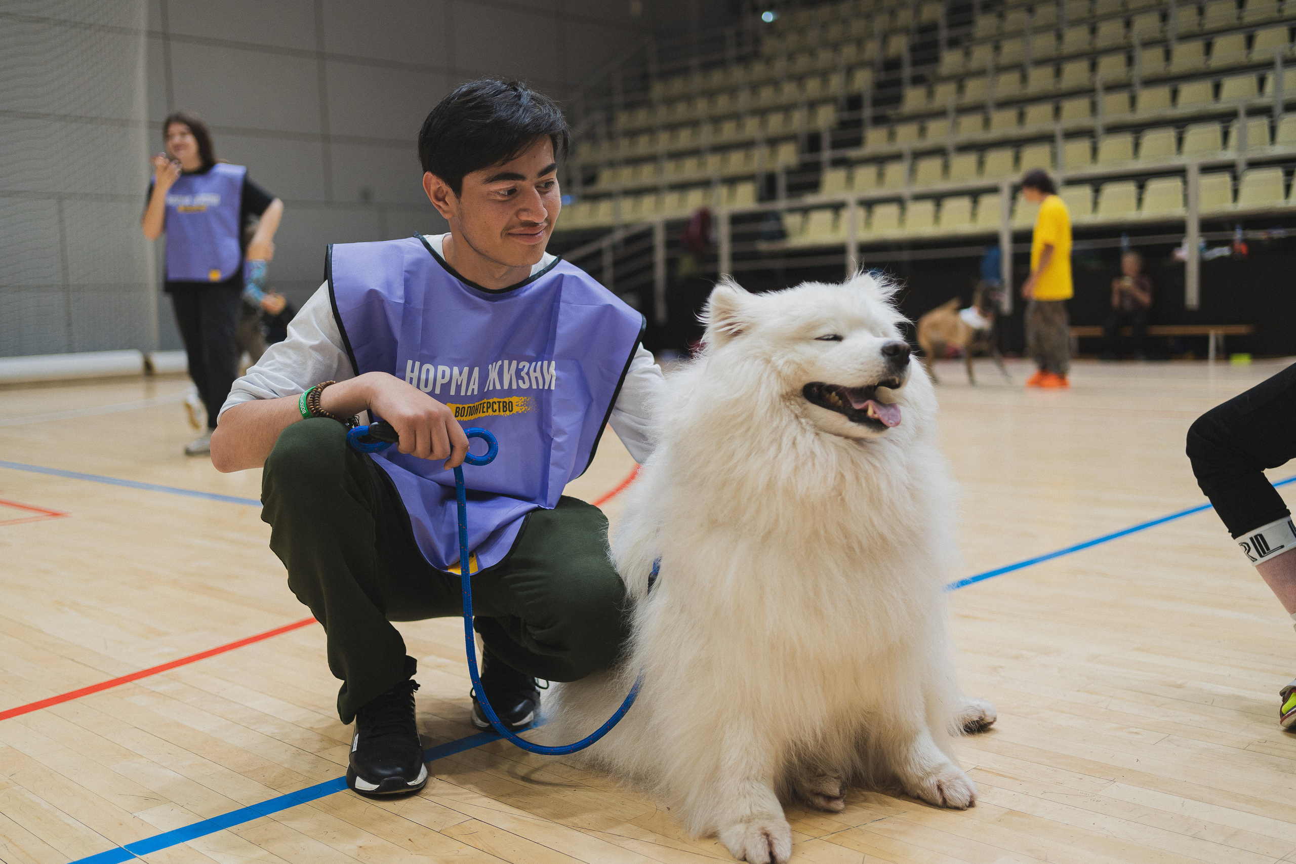 Семейный праздник «Доктор пес & компания» | 2022