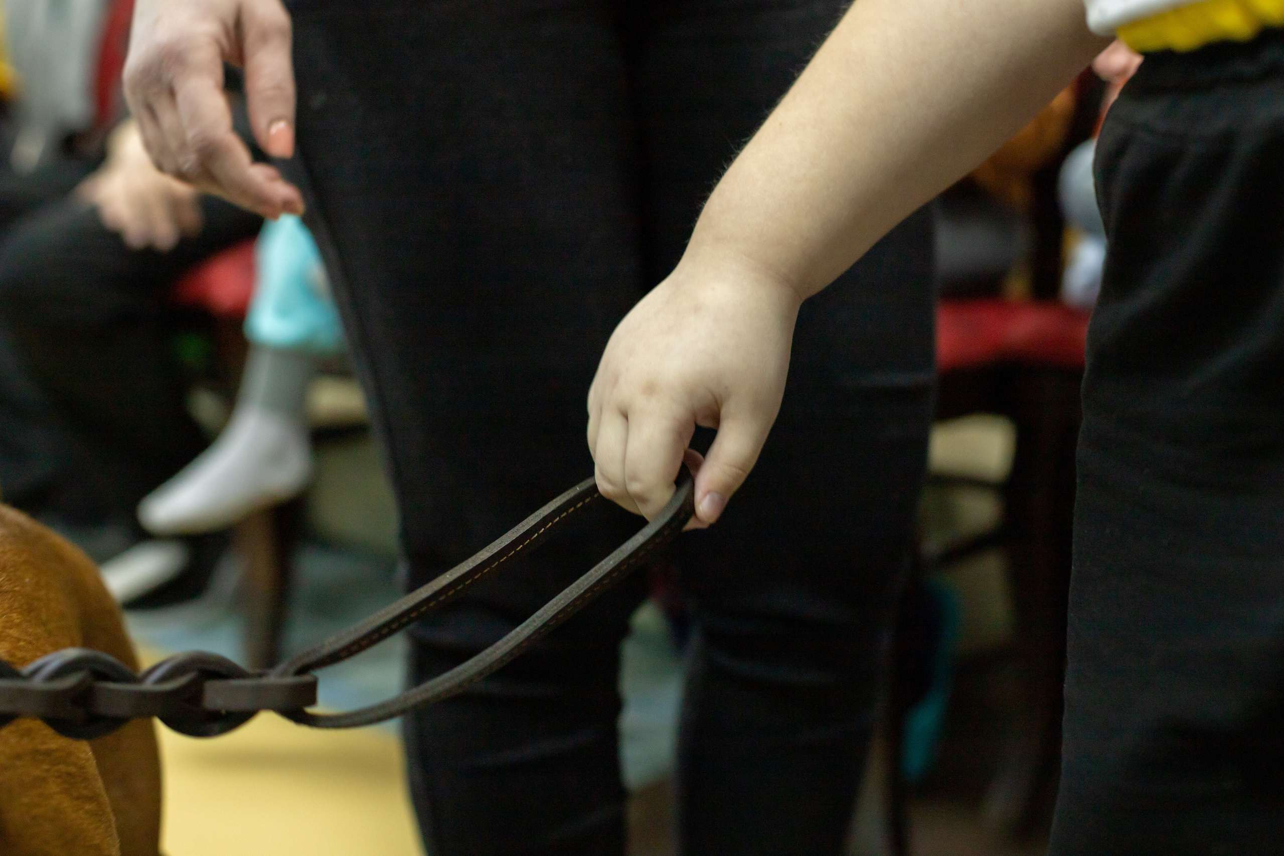 Доктор Пес: канистерапия для детей и подростков с ОВЗ | Кемерово | 2021-2022