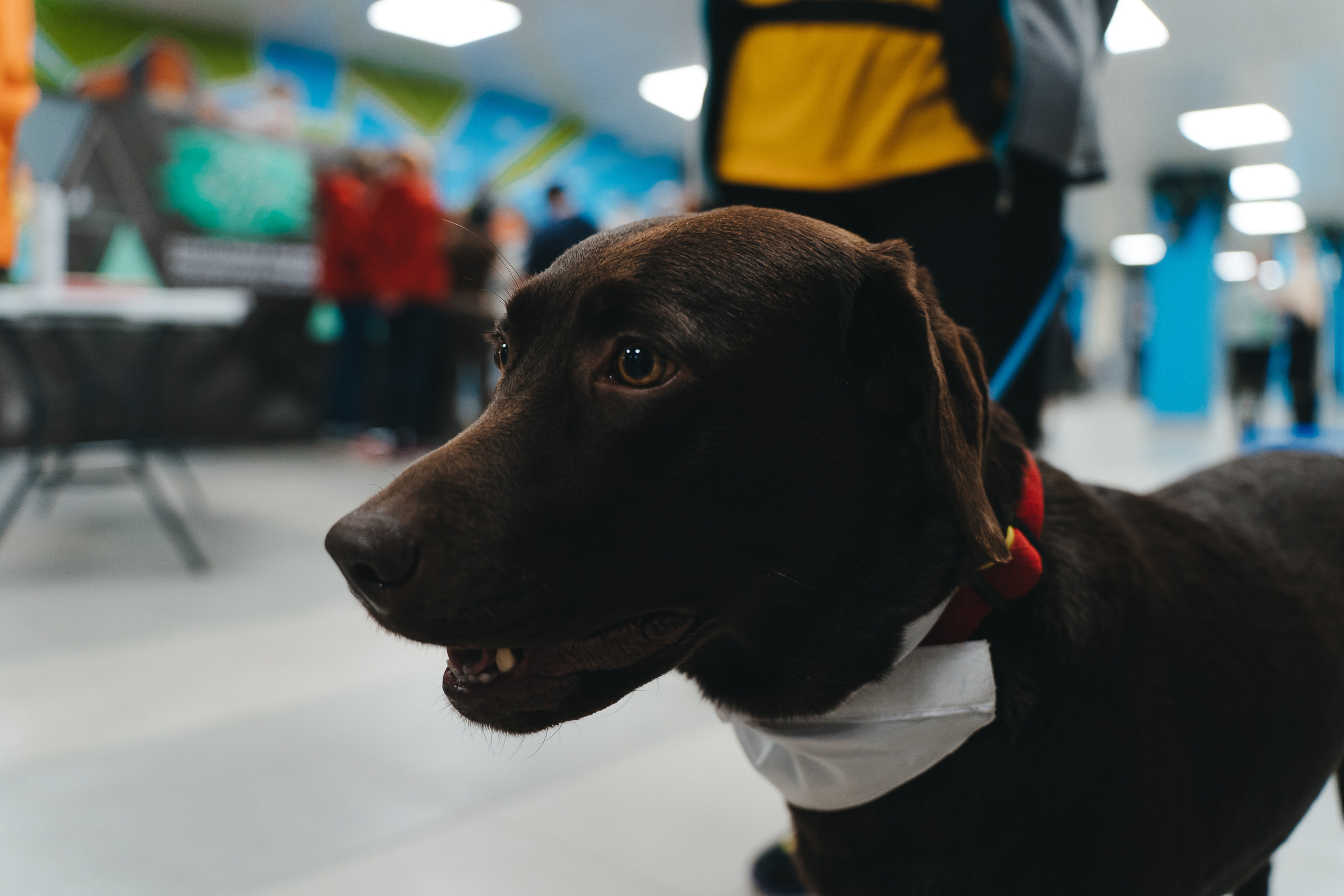 Региональный фестиваль добровольцев «Делаем добро в Кузбассе» | ЛДК | 2022