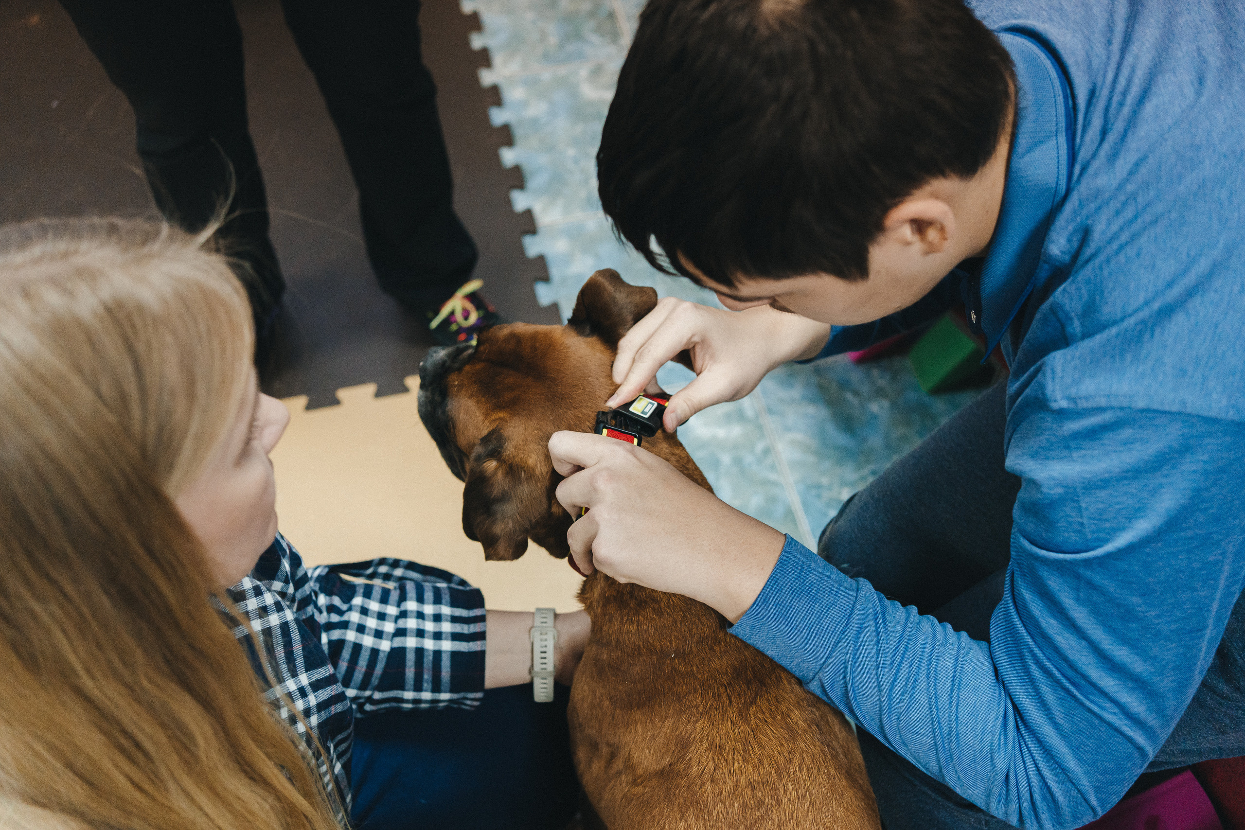 Доктор Пес: канистерапия для детей и подростков с ОВЗ | Кемерово | 2021-2022