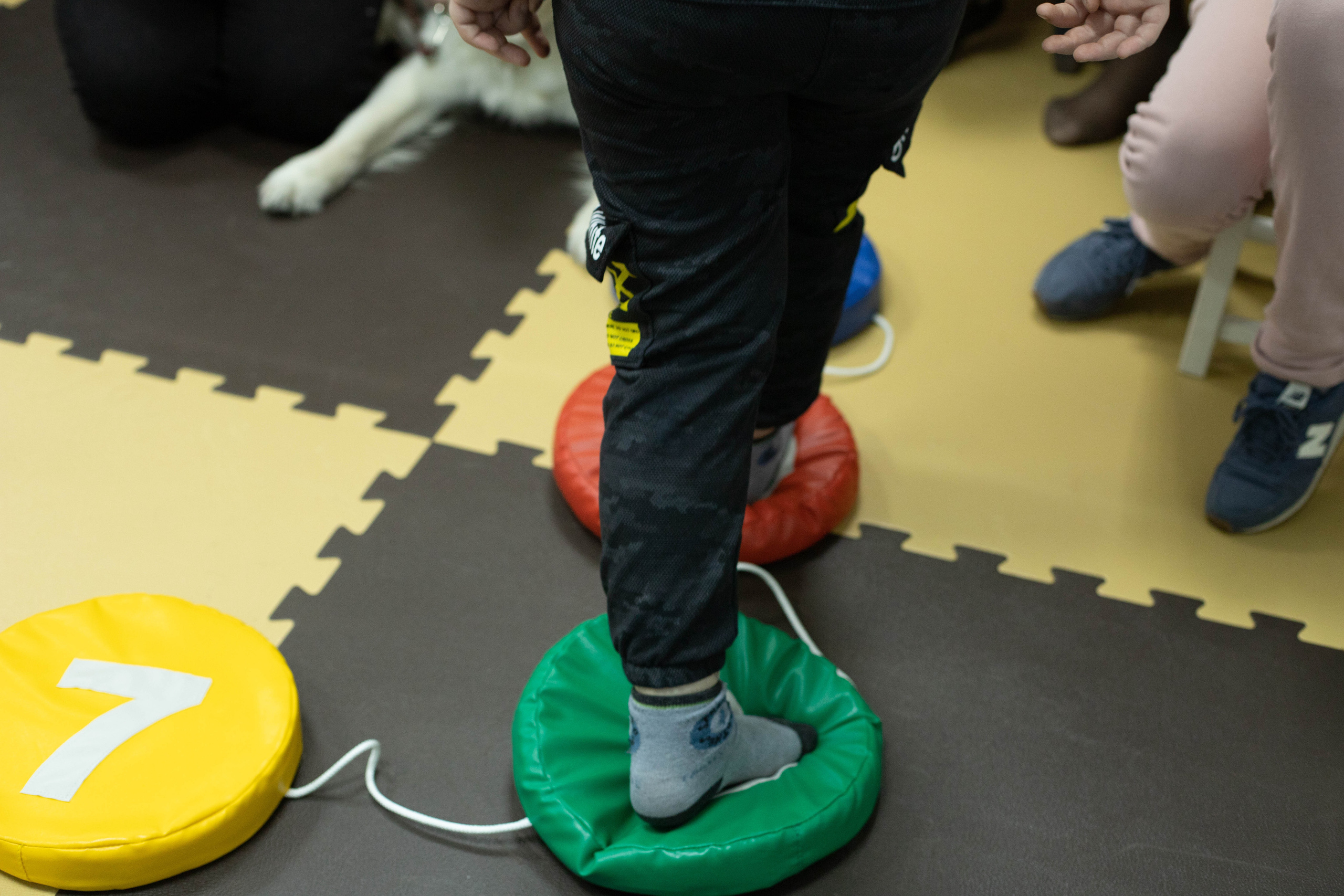 Доктор Пес: канистерапия для детей и подростков с ОВЗ | Кемерово | 2021-2022