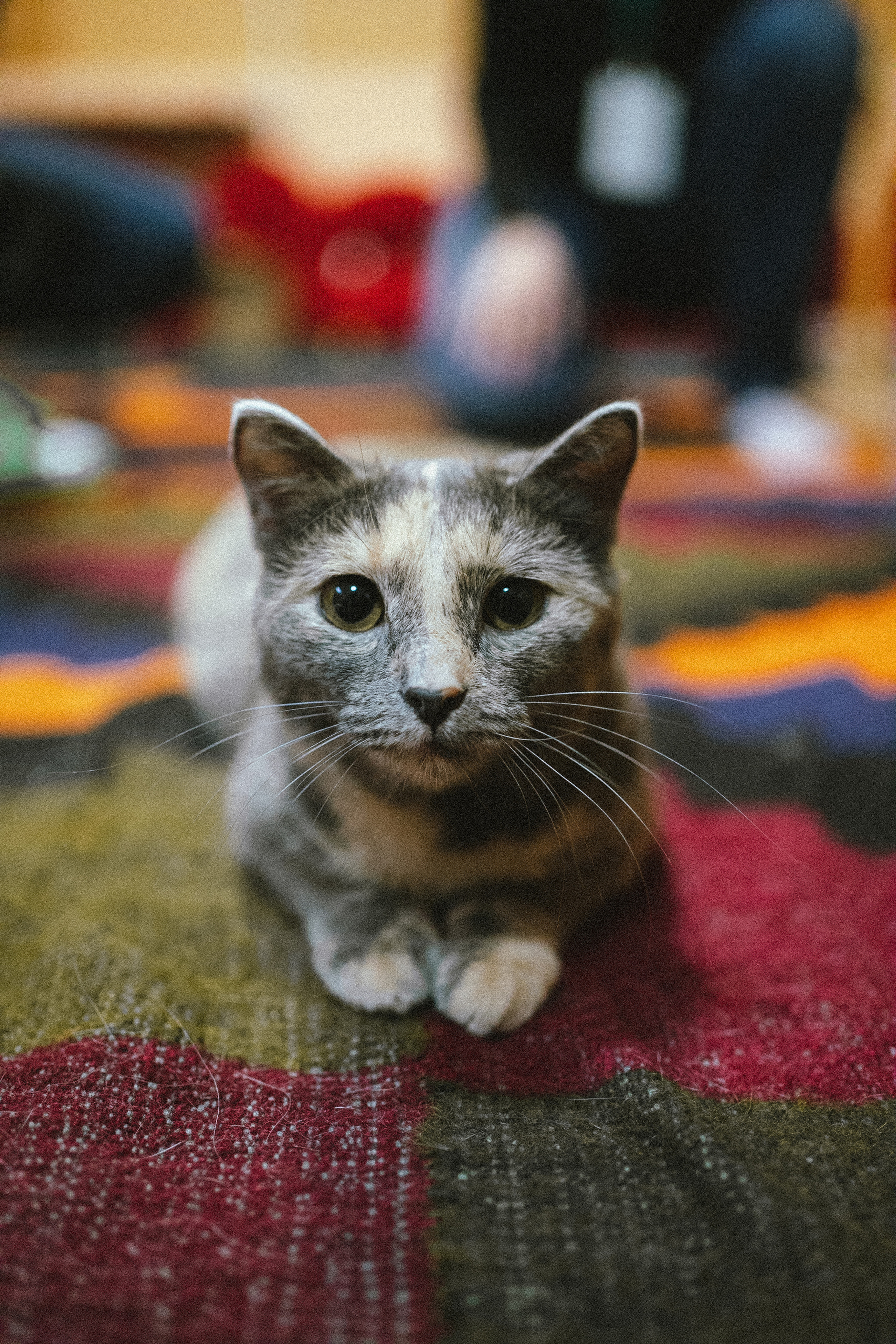 Всероссийская обучающая стажировка АВЦ в Кузбассе | 2022 | Кем-Белово-Новокуз