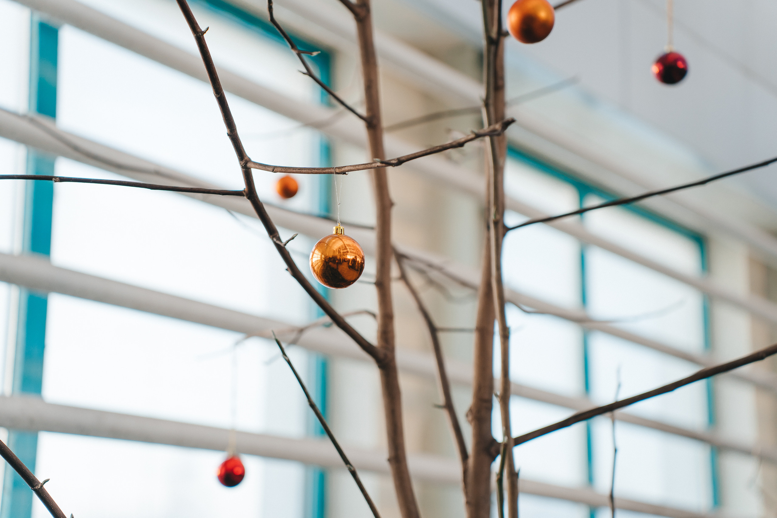 Региональный фестиваль добровольцев «Делаем добро в Кузбассе» | ЛДК | 2022