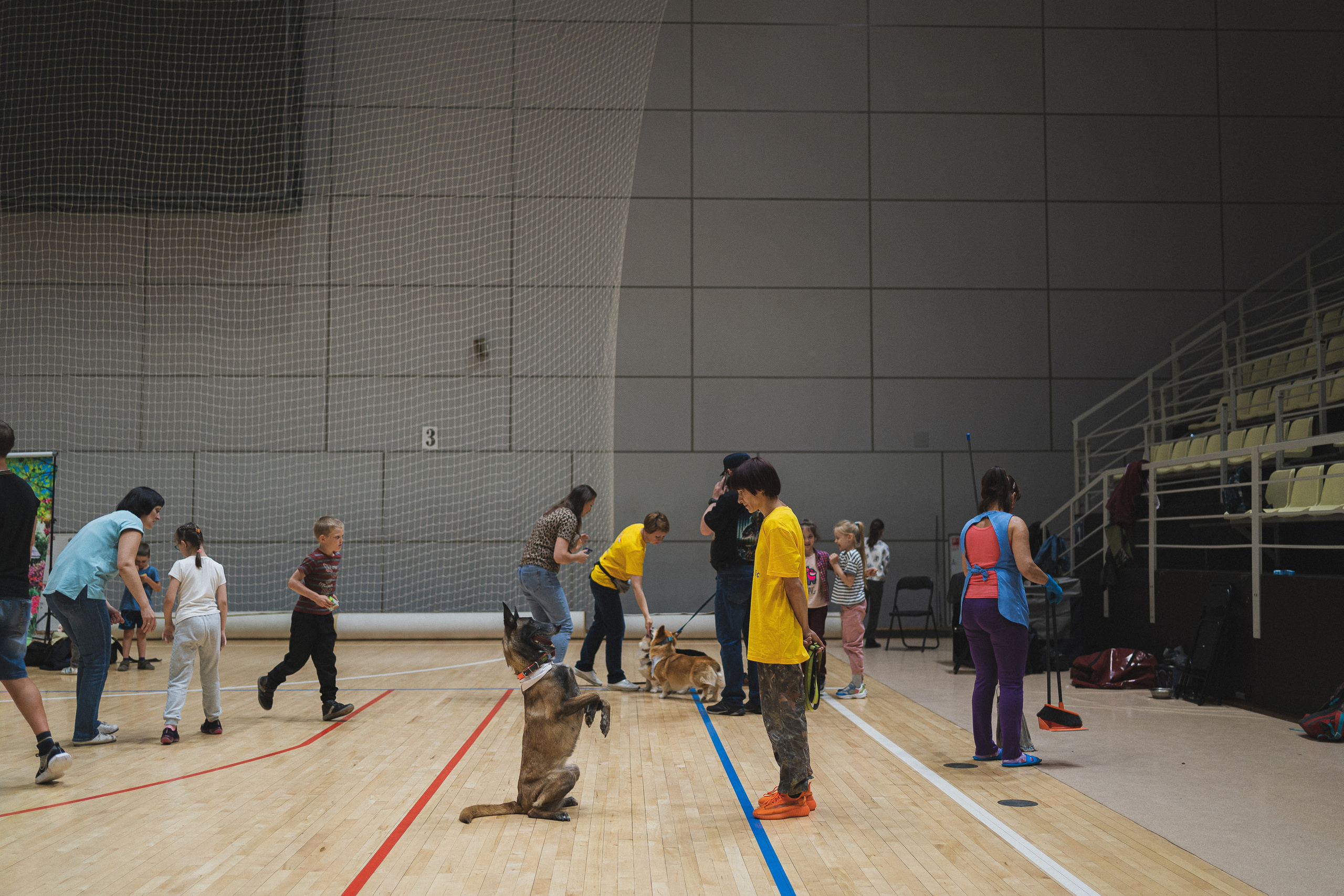 Семейный праздник «Доктор пес & компания» | 2022