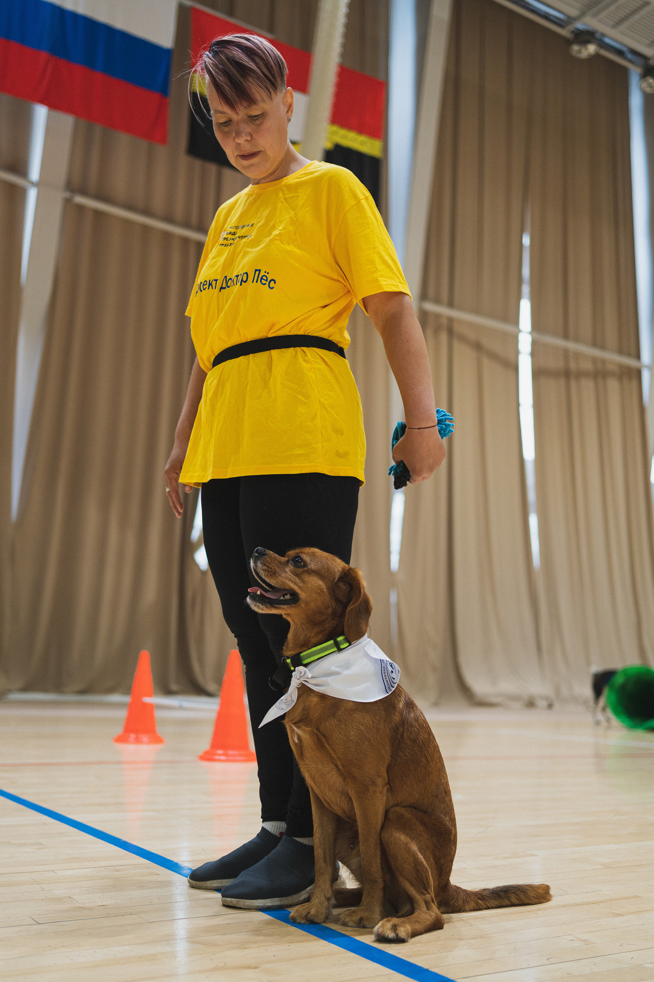 Семейный праздник «Доктор пес & компания» | 2022