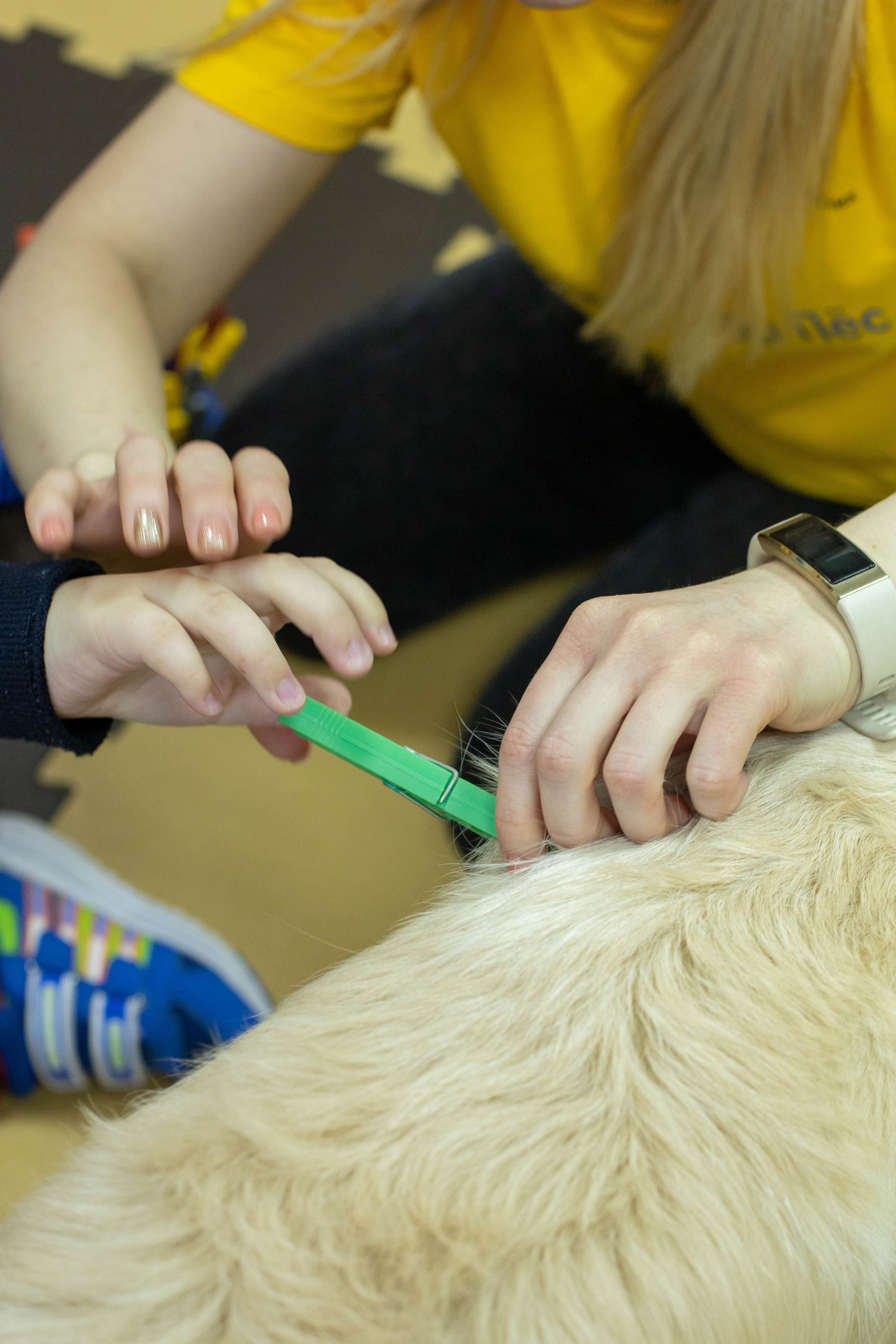 Доктор Пес: канистерапия для детей и подростков с ОВЗ | Кемерово | 2021-2022