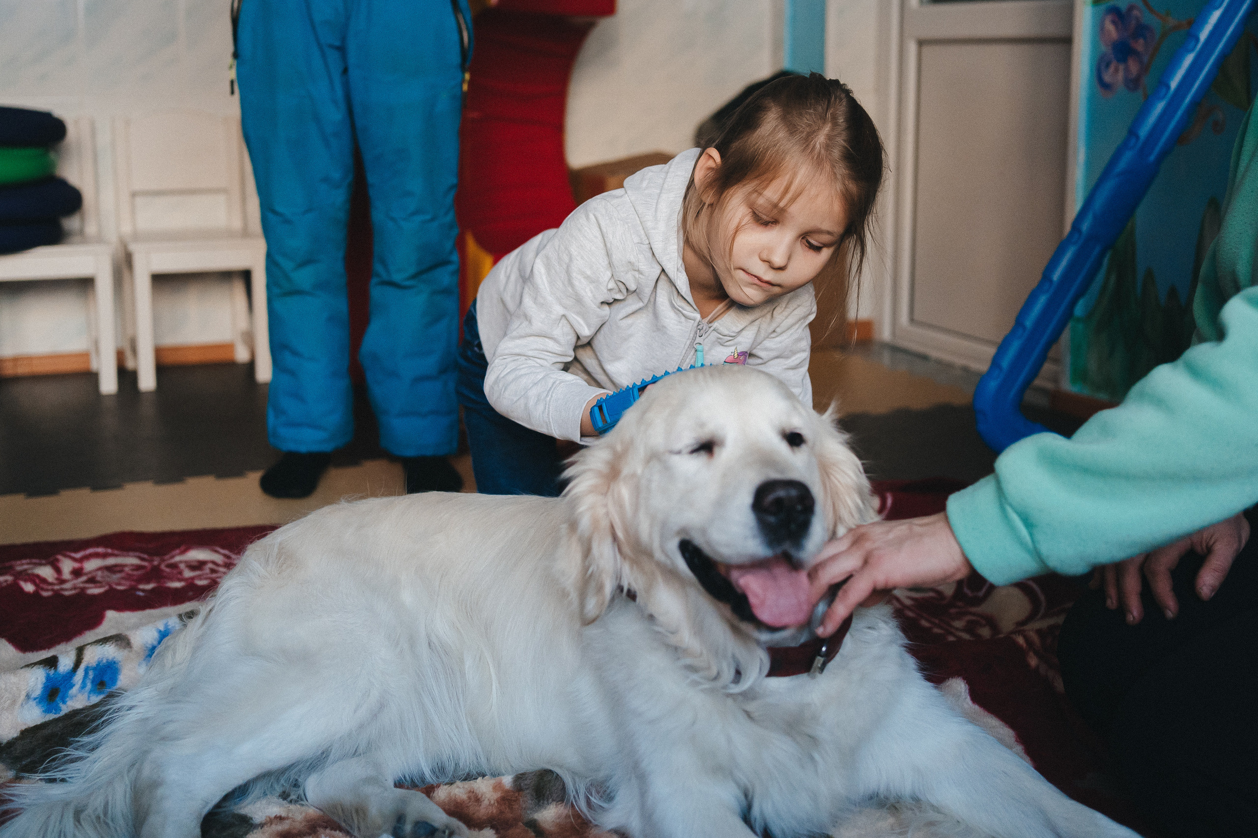 Доктор Пес: канистерапия для детей и подростков с ОВЗ | Кемерово | 2021-2022