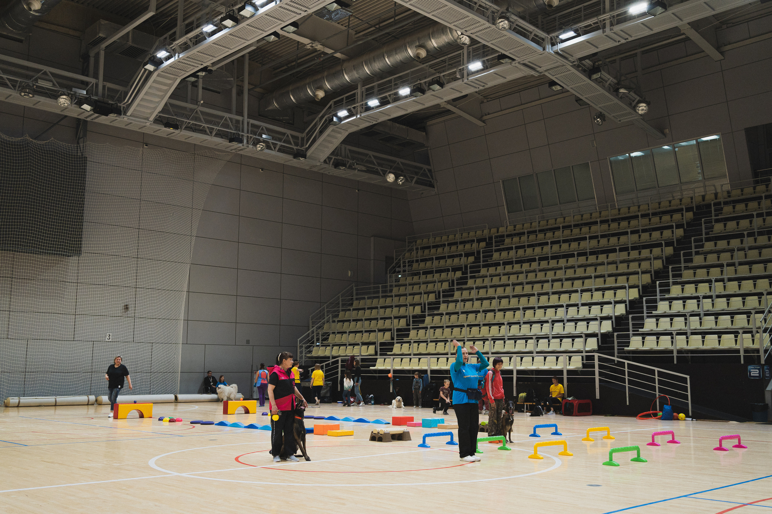 Семейный праздник «Доктор пес & компания» | 2022