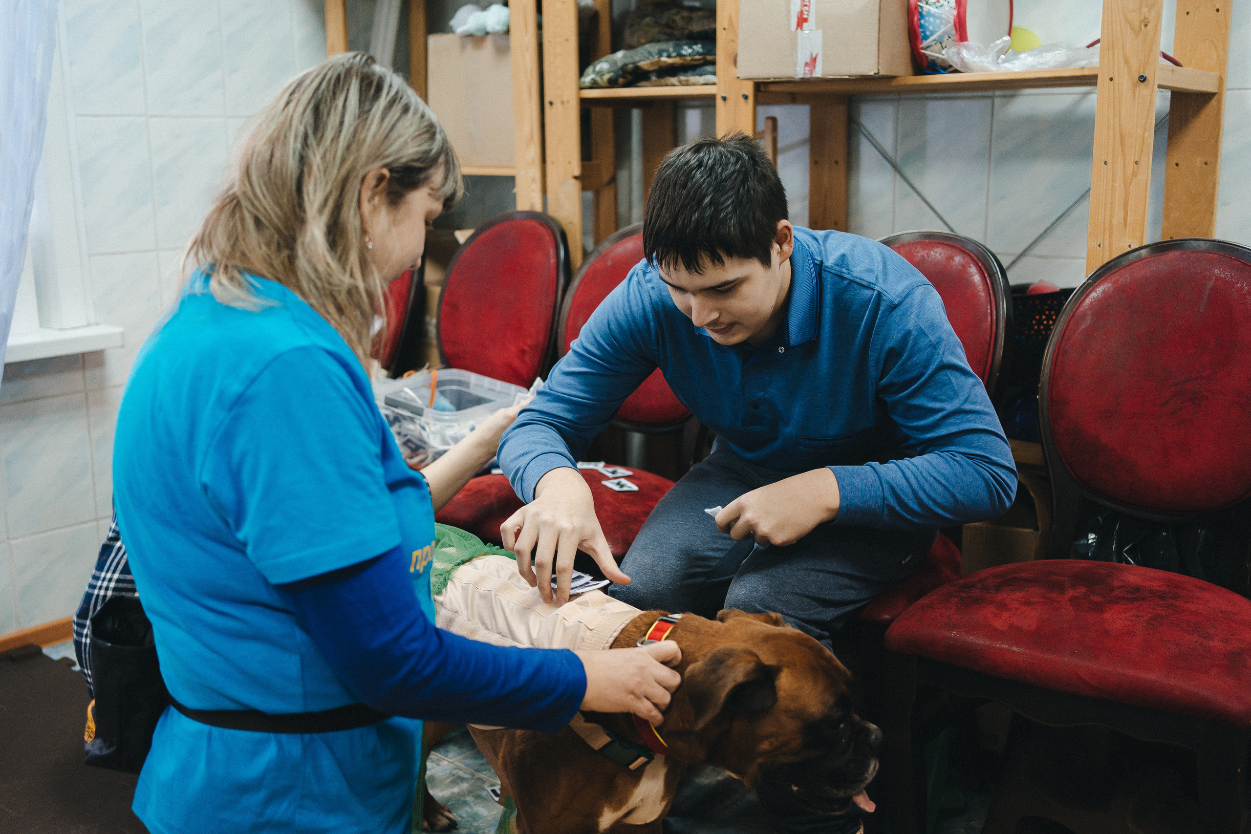 Доктор Пес: канистерапия для детей и подростков с ОВЗ | Кемерово | 2021-2022