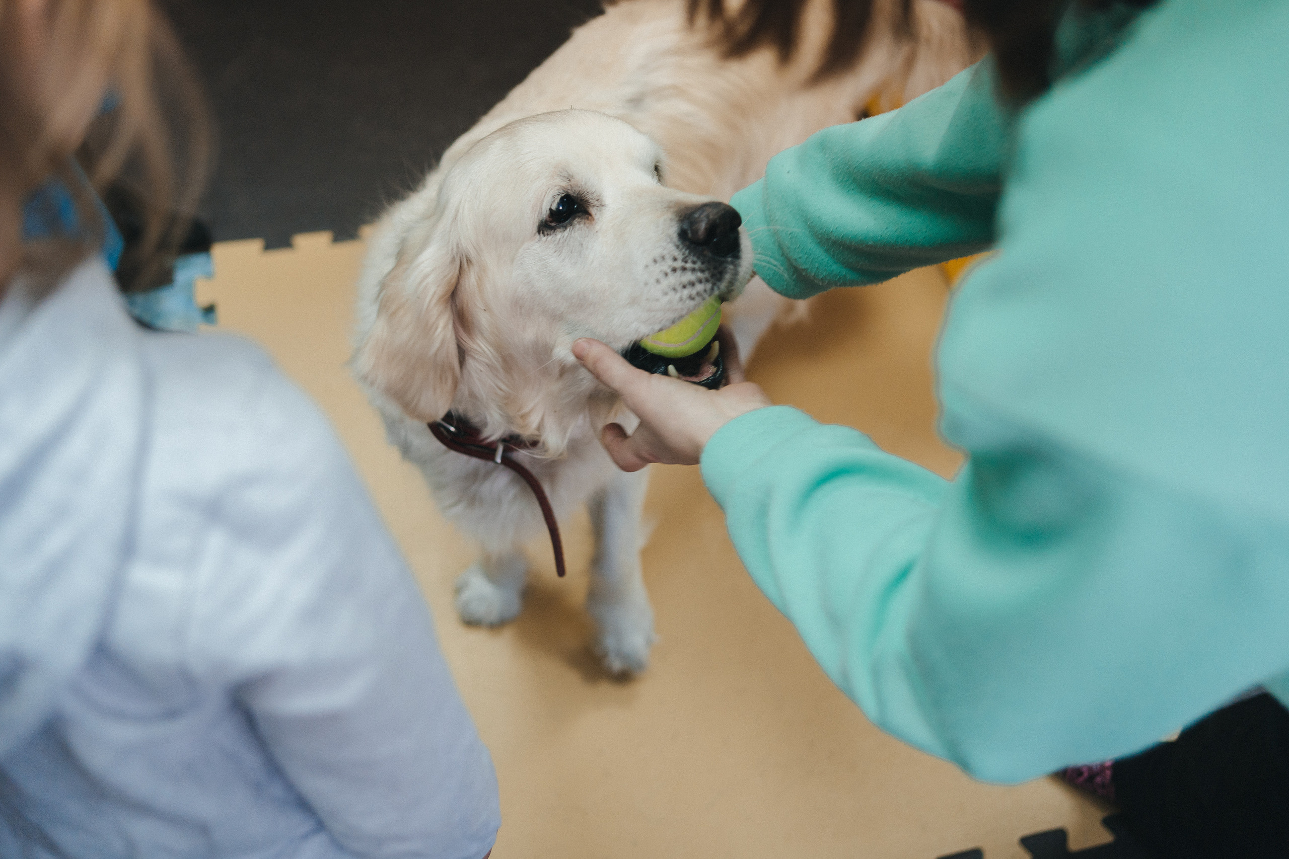 Доктор Пес: канистерапия для детей и подростков с ОВЗ | Кемерово | 2021-2022