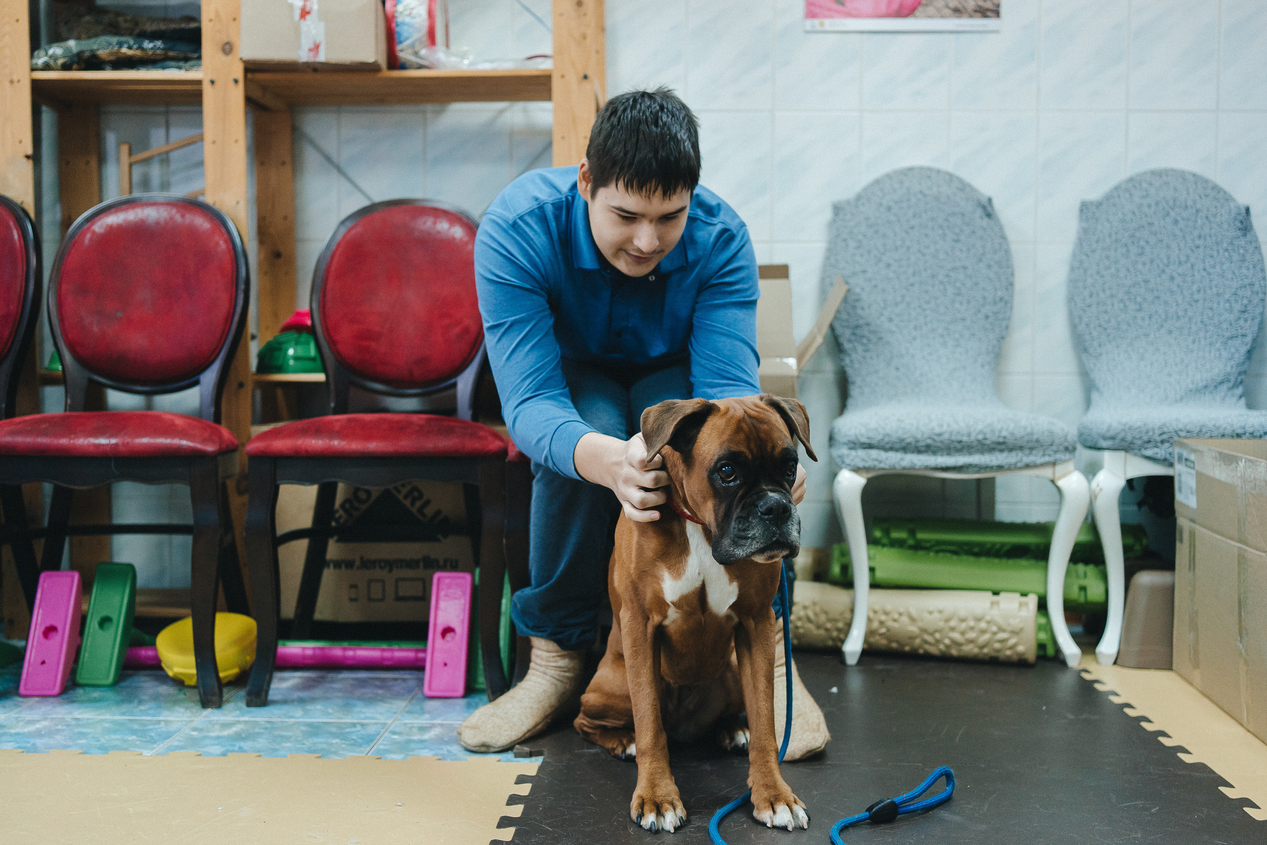 Доктор Пес: канистерапия для детей и подростков с ОВЗ | Кемерово | 2021-2022