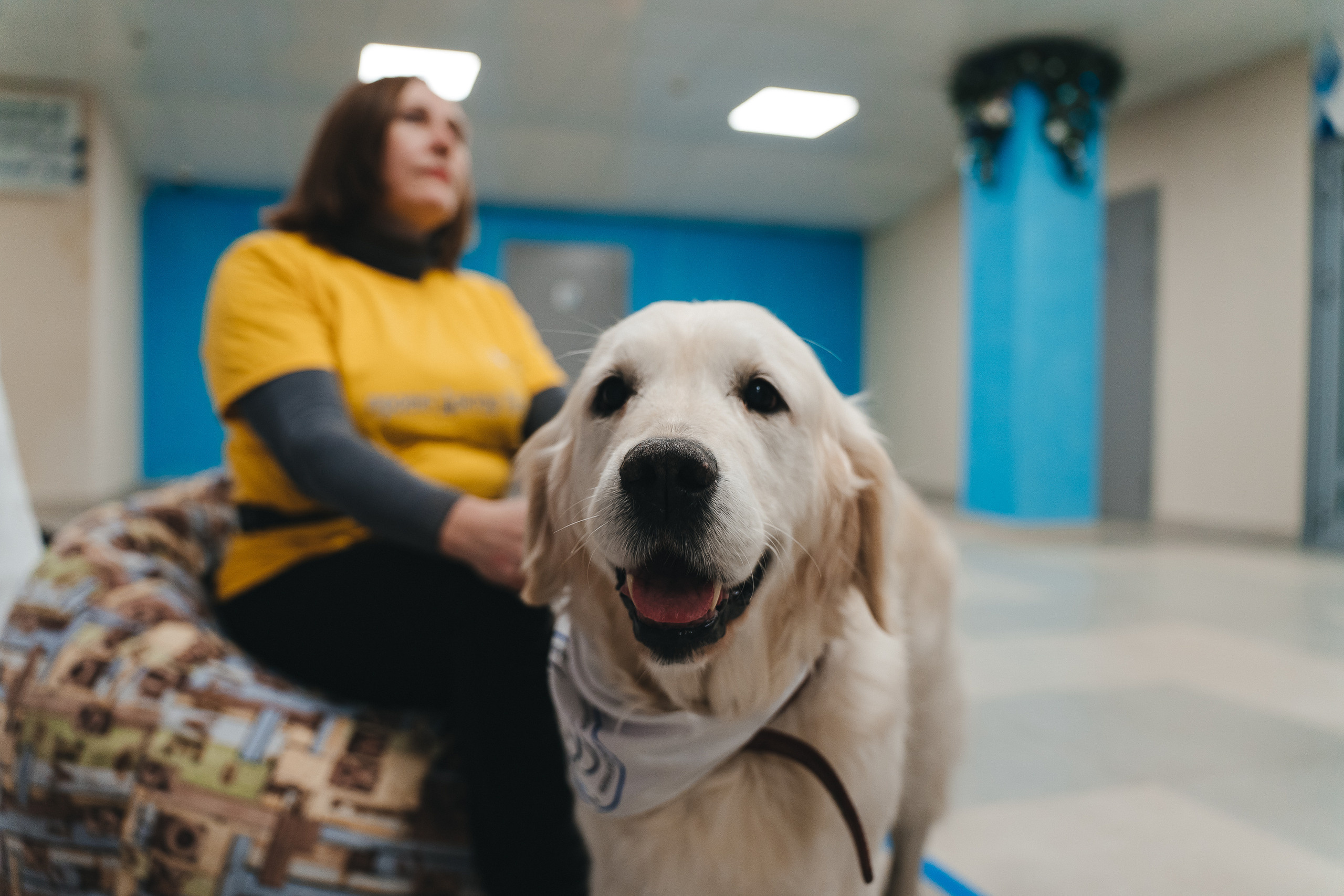 Региональный фестиваль добровольцев «Делаем добро в Кузбассе» | ЛДК | 2022