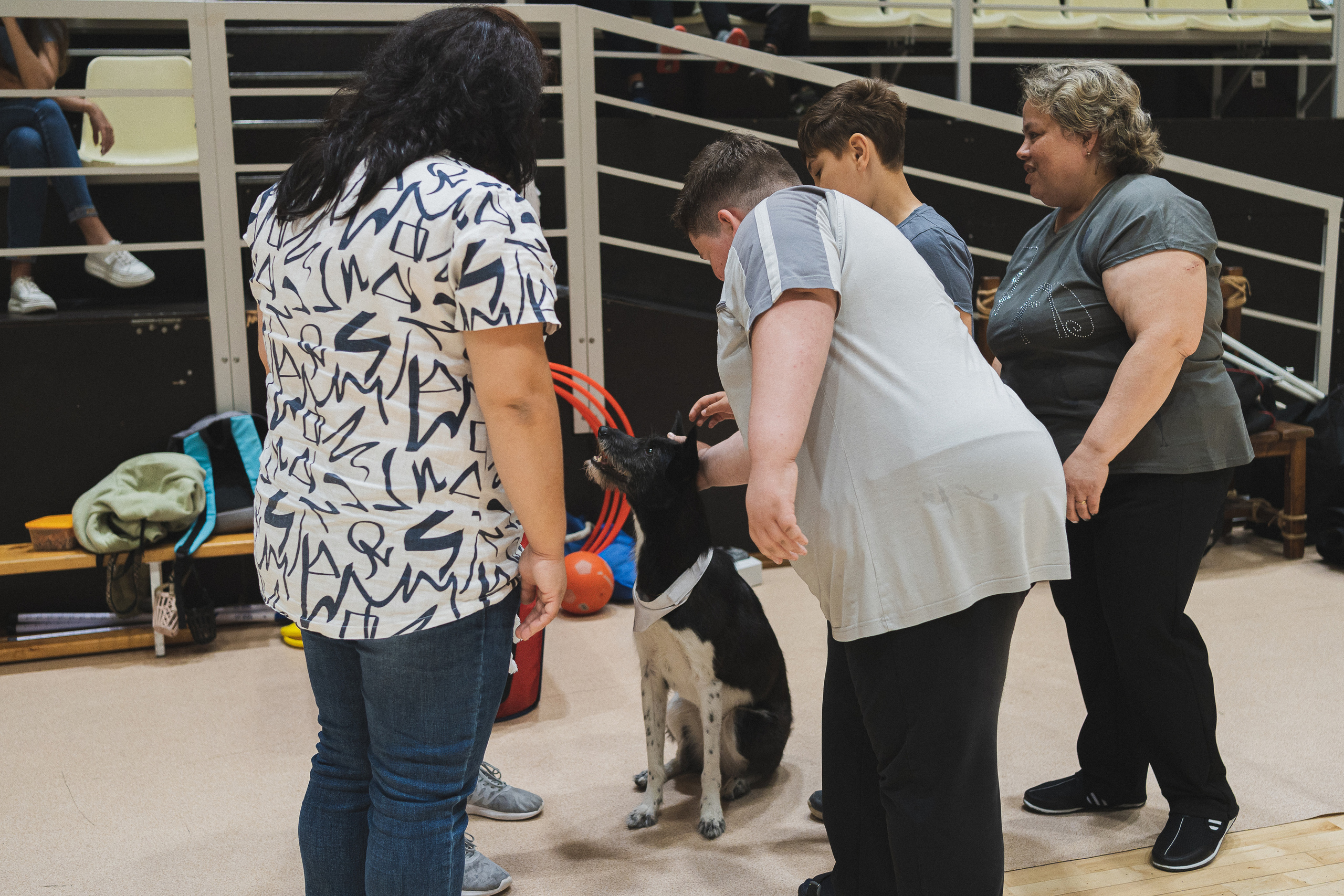 Семейный праздник «Доктор пес & компания» | 2022