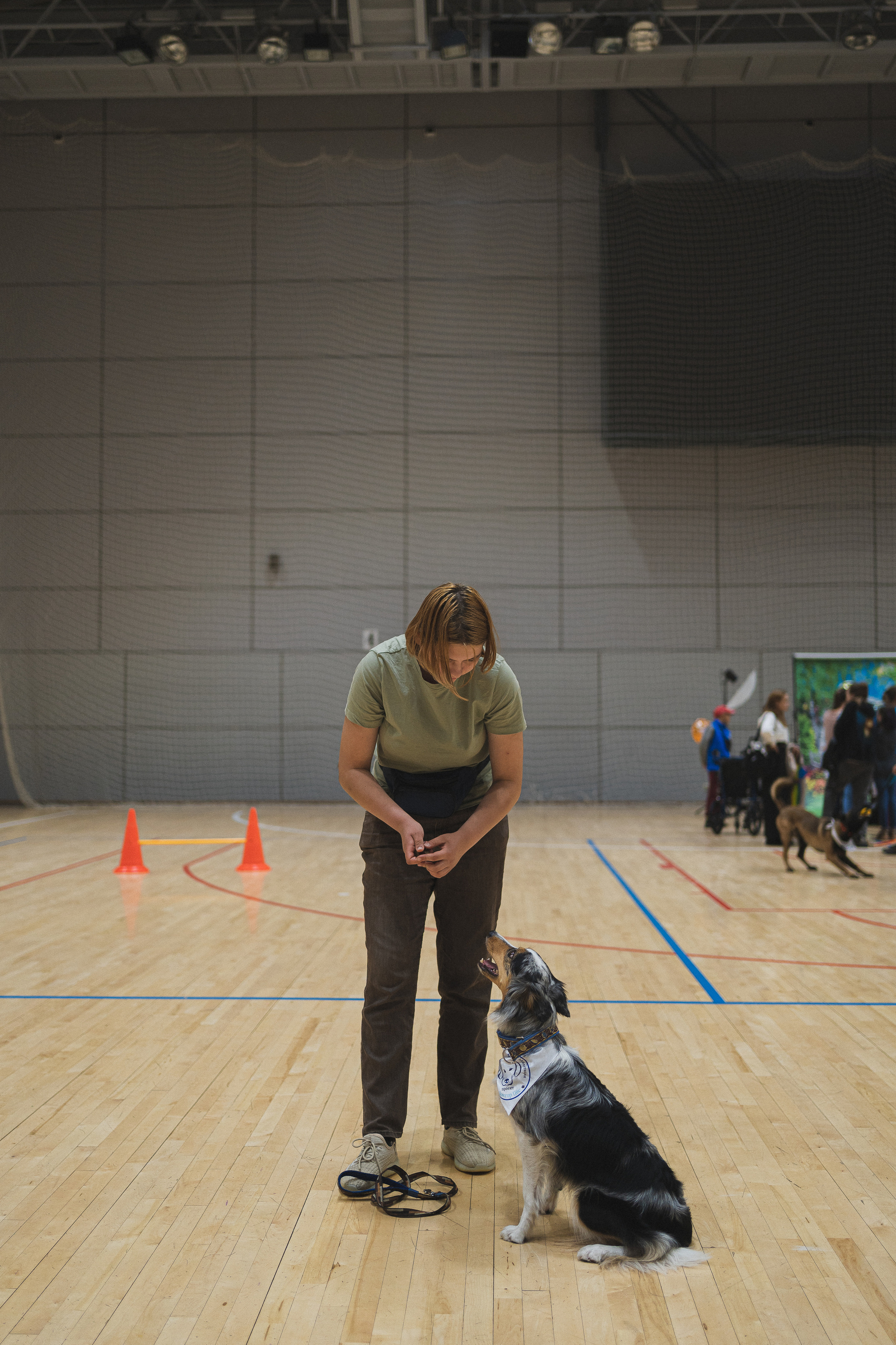 Семейный праздник «Доктор пес & компания» | 2022