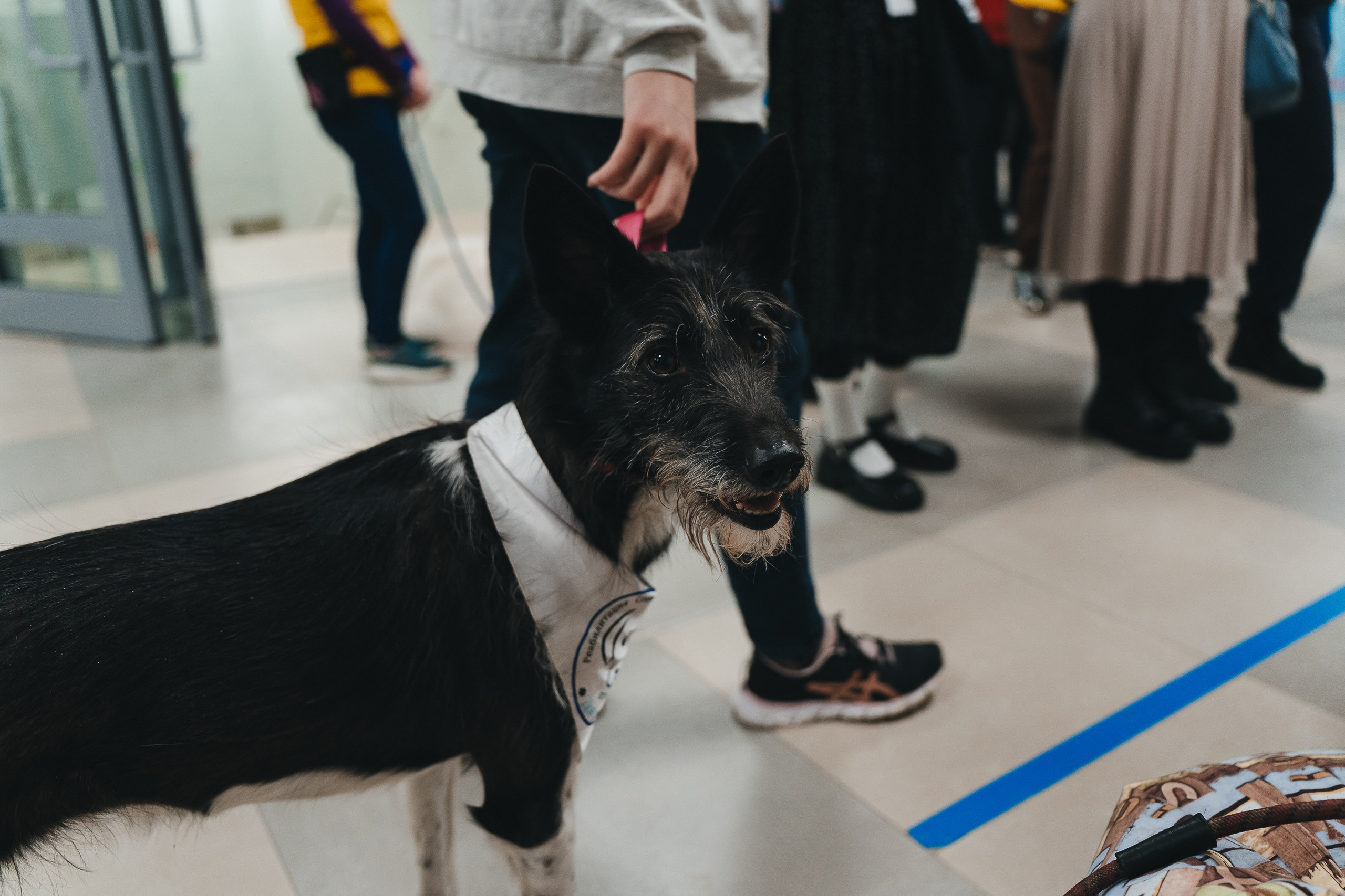 Региональный фестиваль добровольцев «Делаем добро в Кузбассе» | ЛДК | 2022