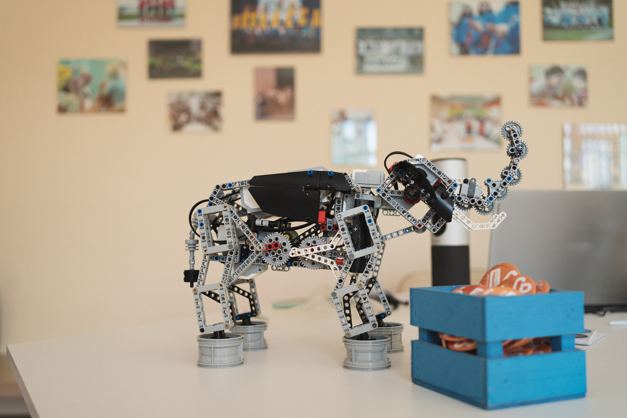 Региональный этап Международной премии #МЫВМЕСТЕ в Кузбассе | Кем-Новокуз | 2022