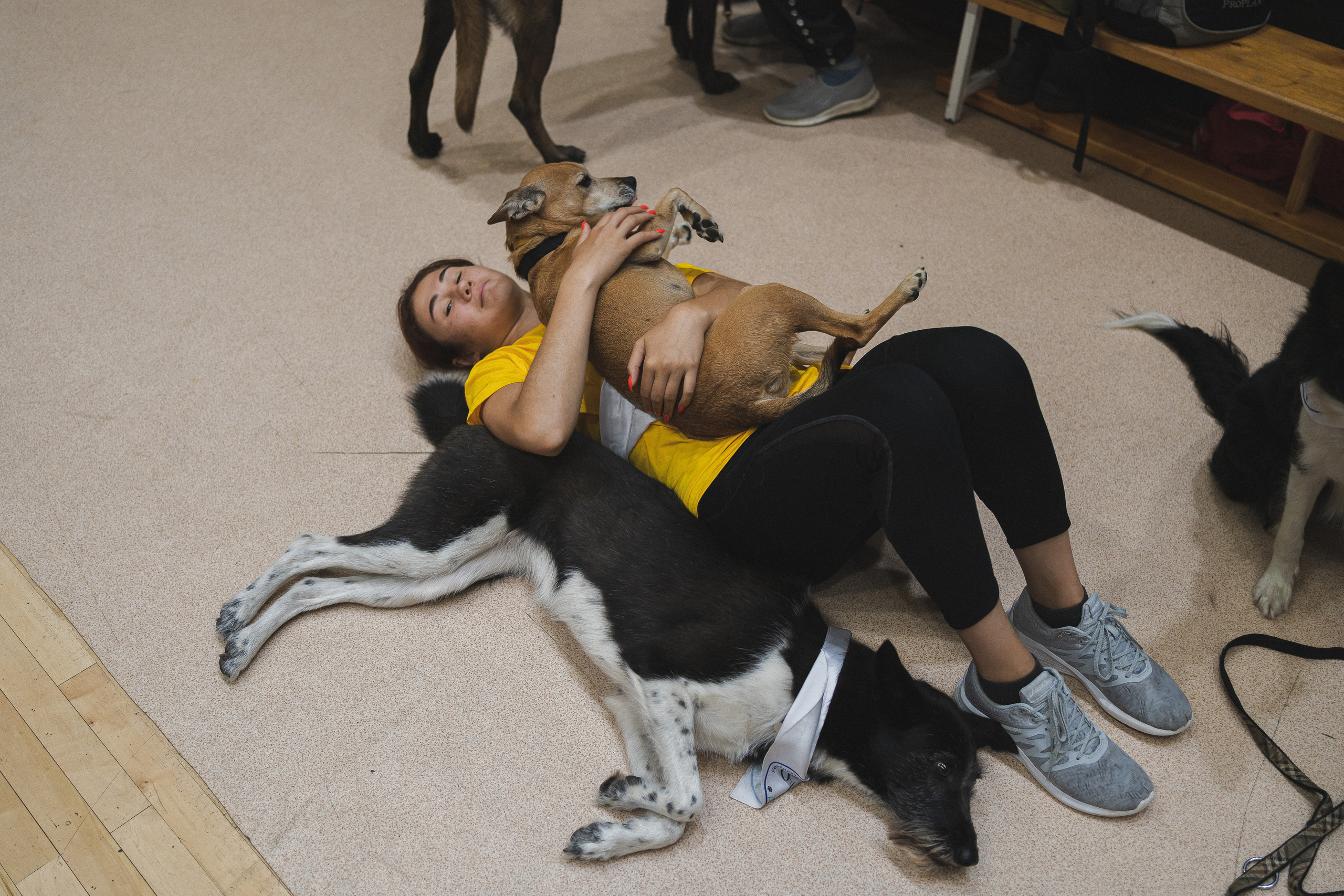 Семейный праздник «Доктор пес & компания» | 2022