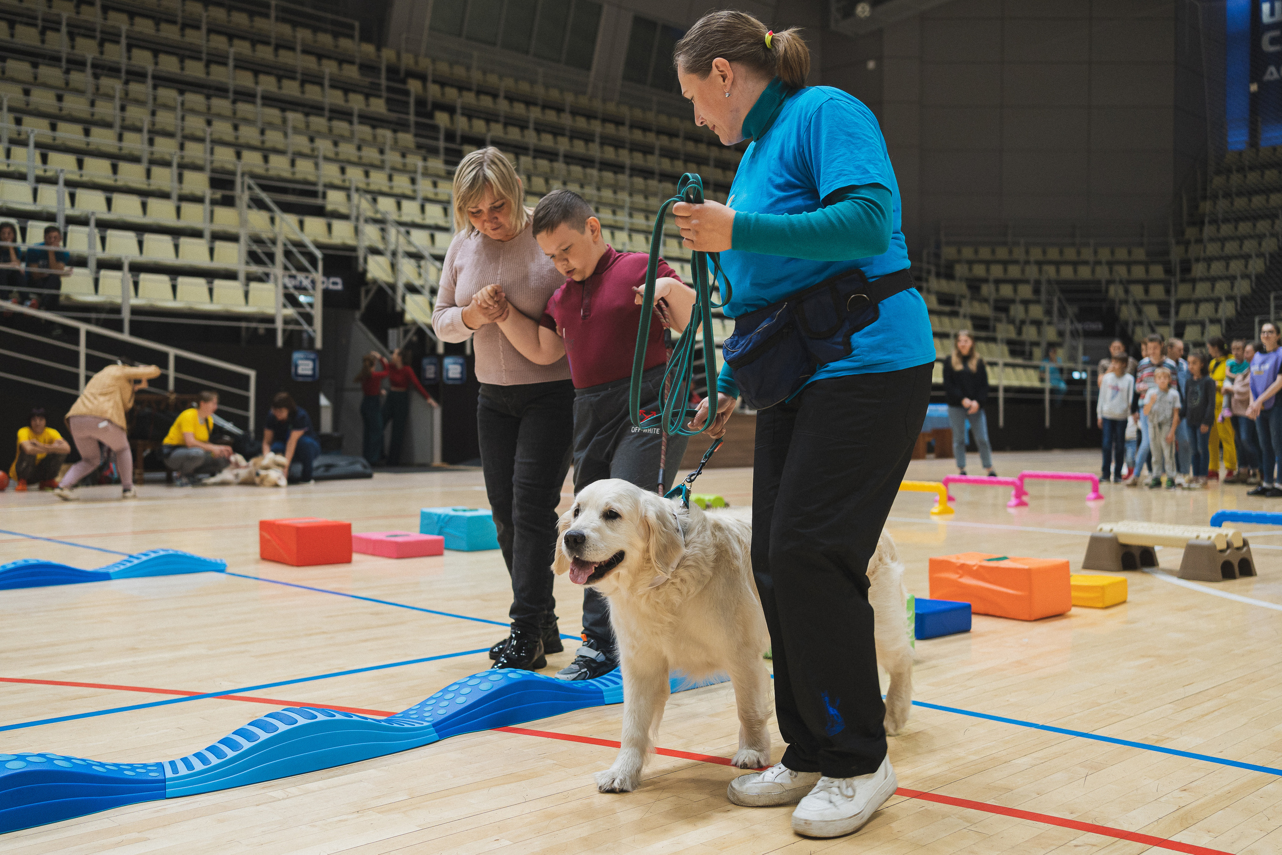 Семейный праздник «Доктор пес & компания» | 2022