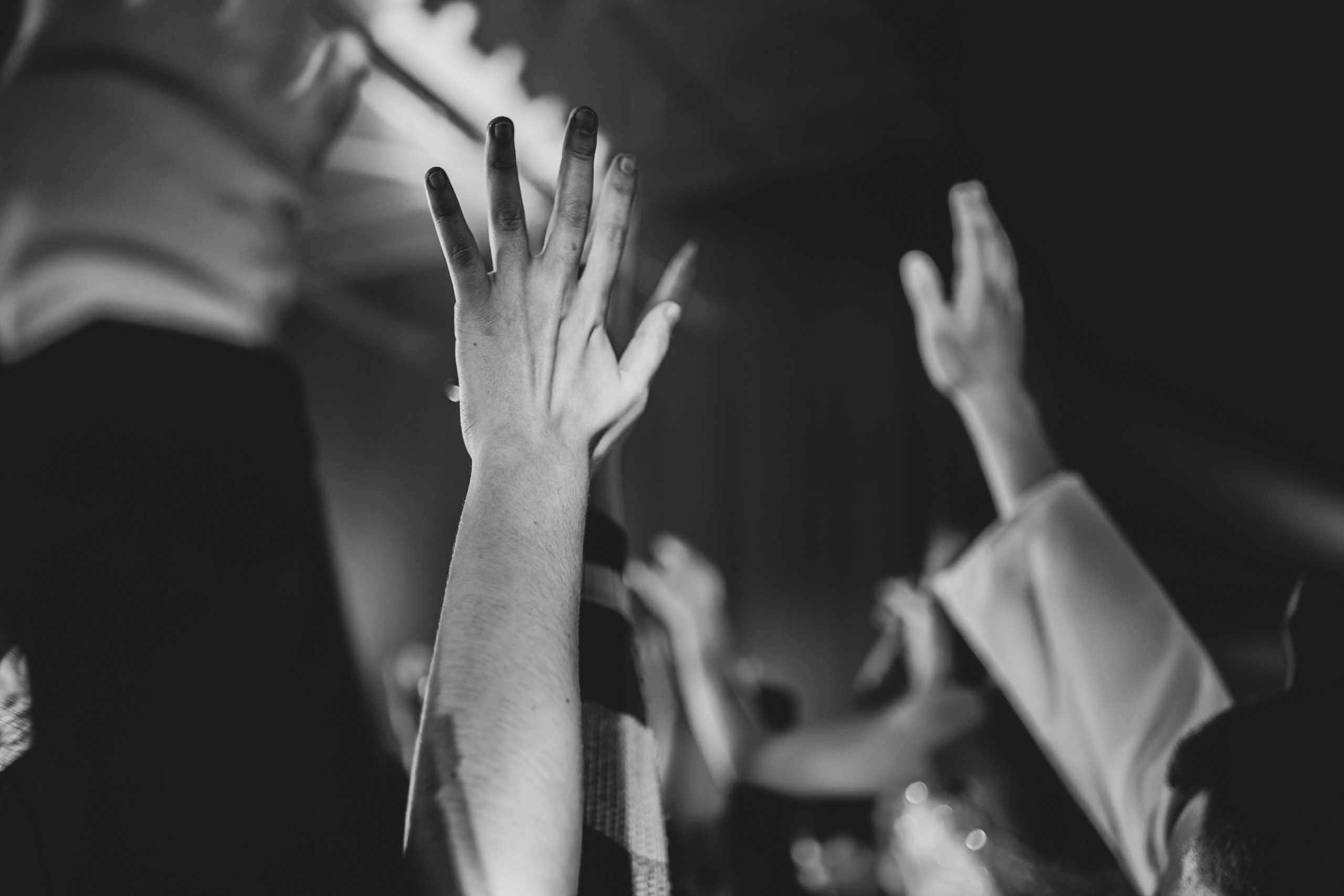 СТУДВЕСНА | КузГСХА | 2022