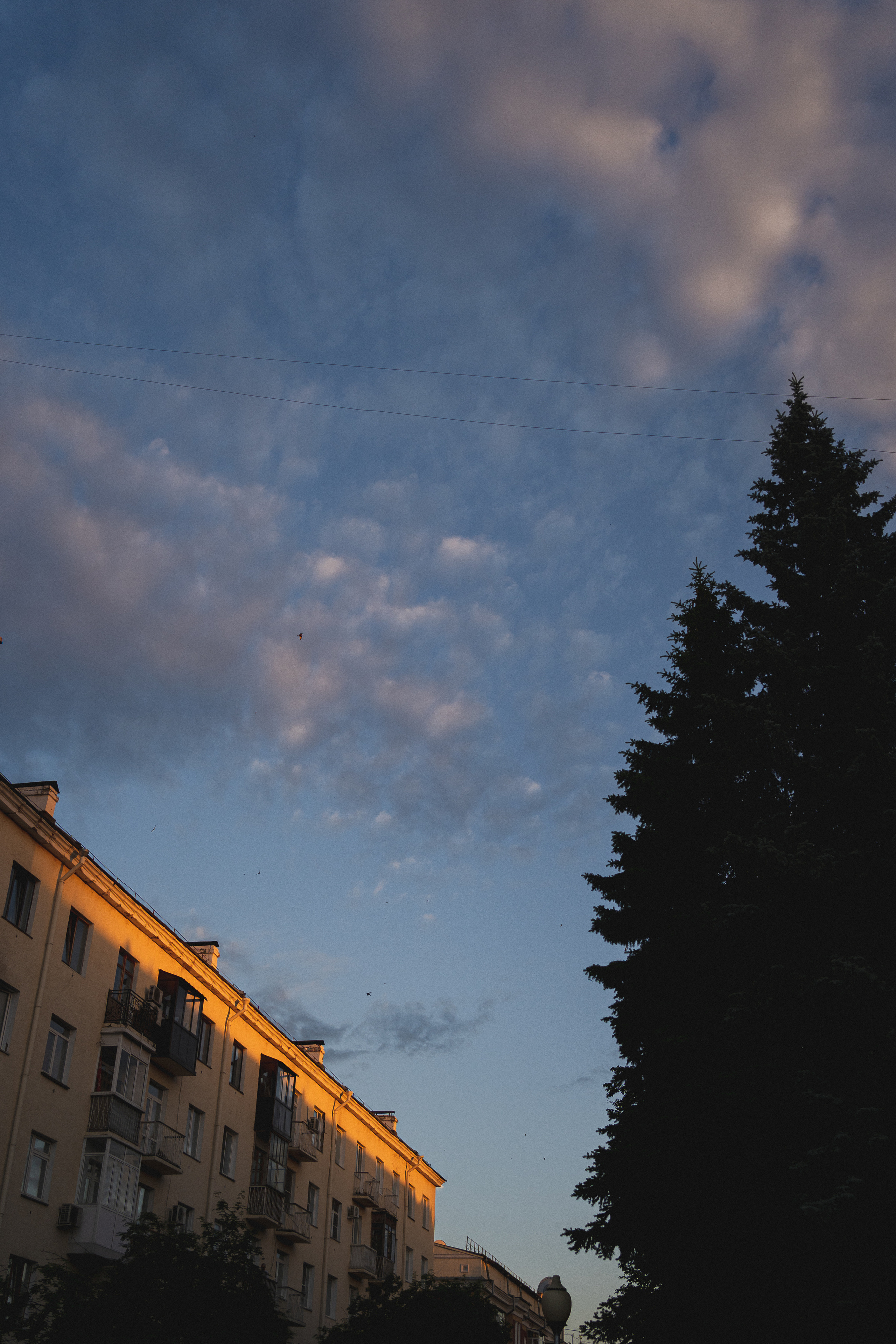 Всероссийские акции «Свеча Памяти» и «Огненная картина» |Кемерово|2022