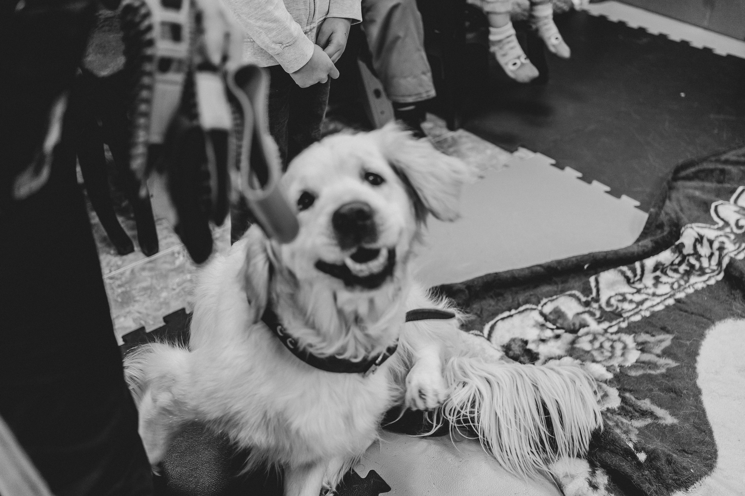 Доктор Пес: канистерапия для детей и подростков с ОВЗ | Кемерово | 2021-2022