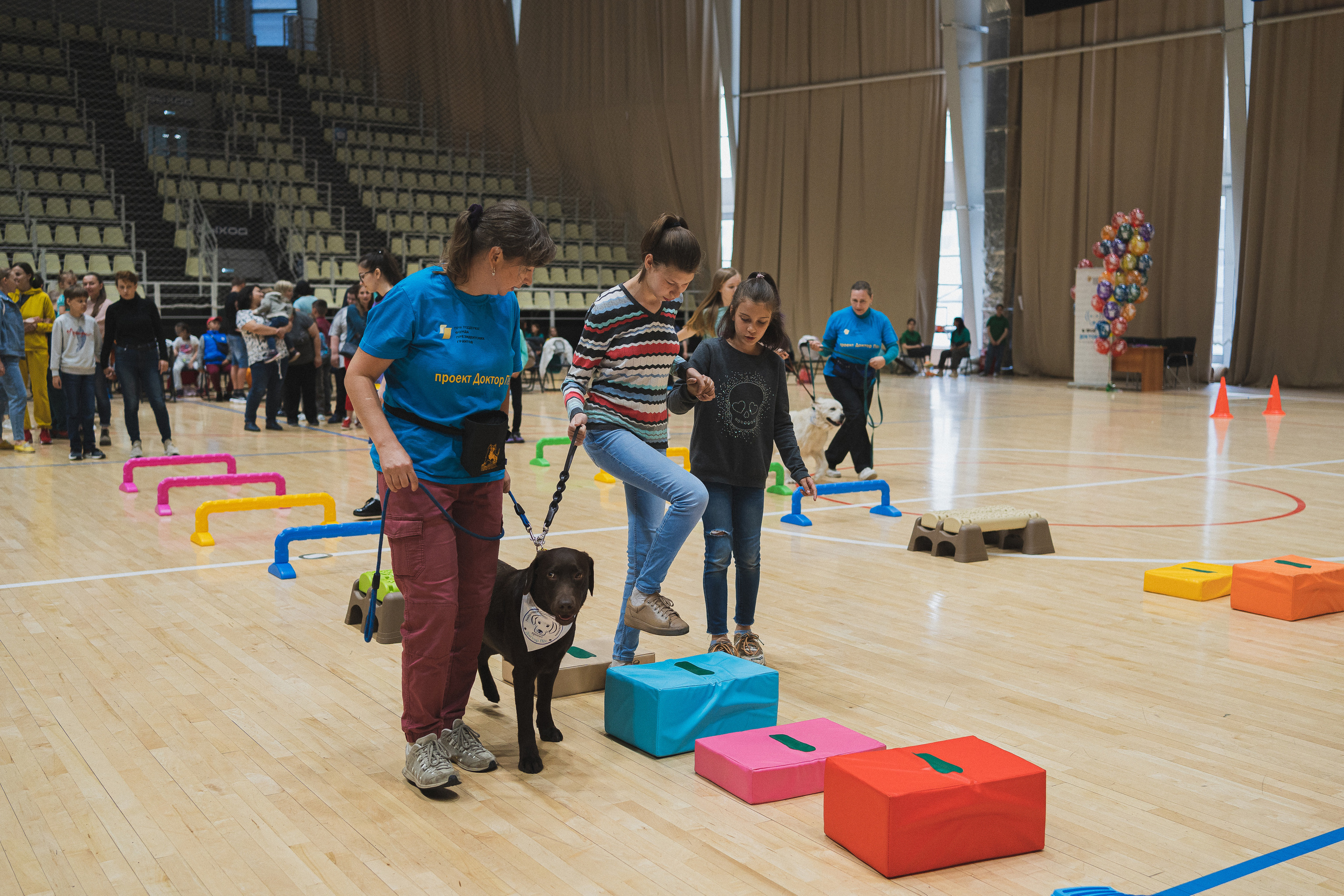 Семейный праздник «Доктор пес & компания» | 2022