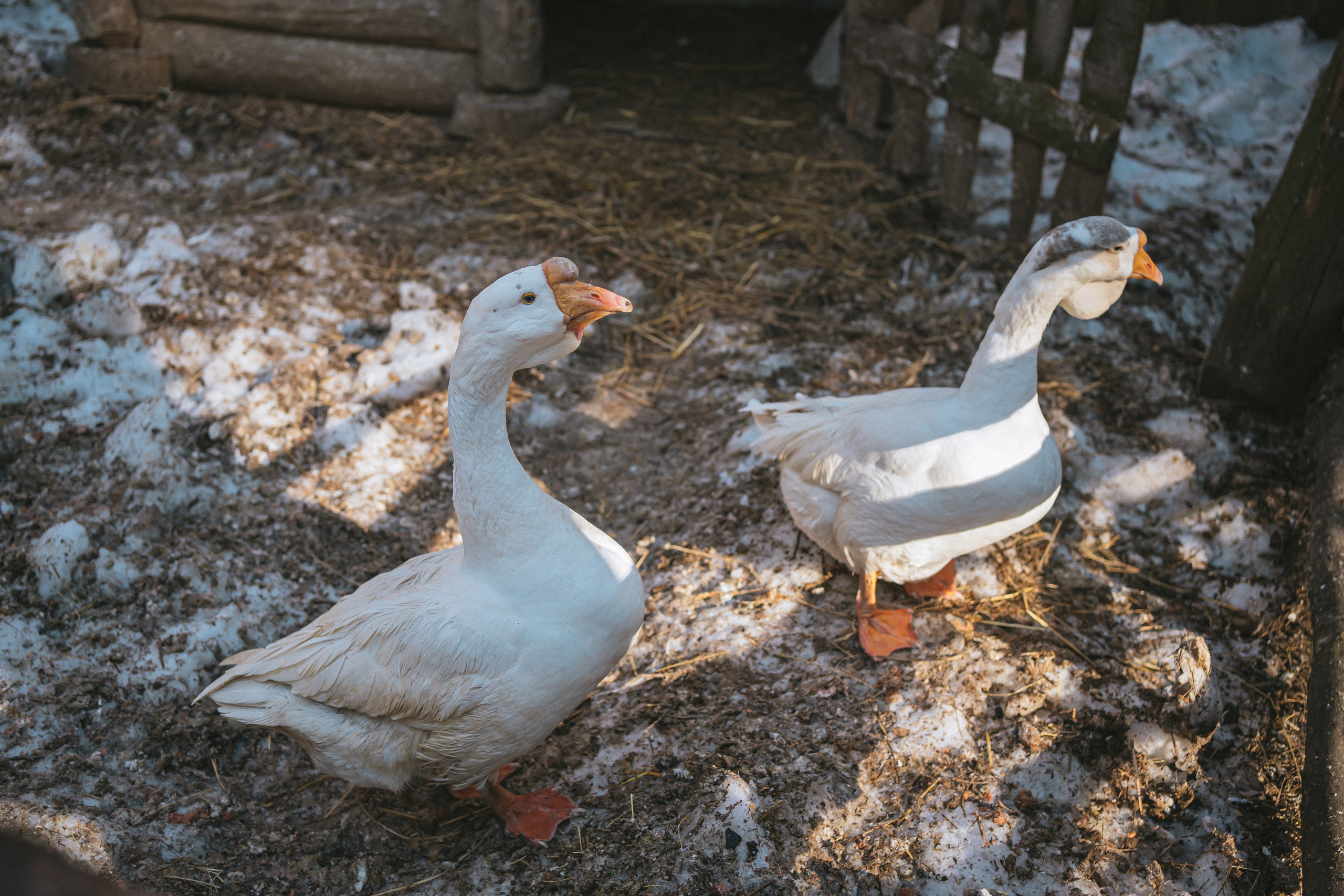 Всероссийская обучающая стажировка АВЦ в Кузбассе | 2022 | Кем-Белово-Новокуз