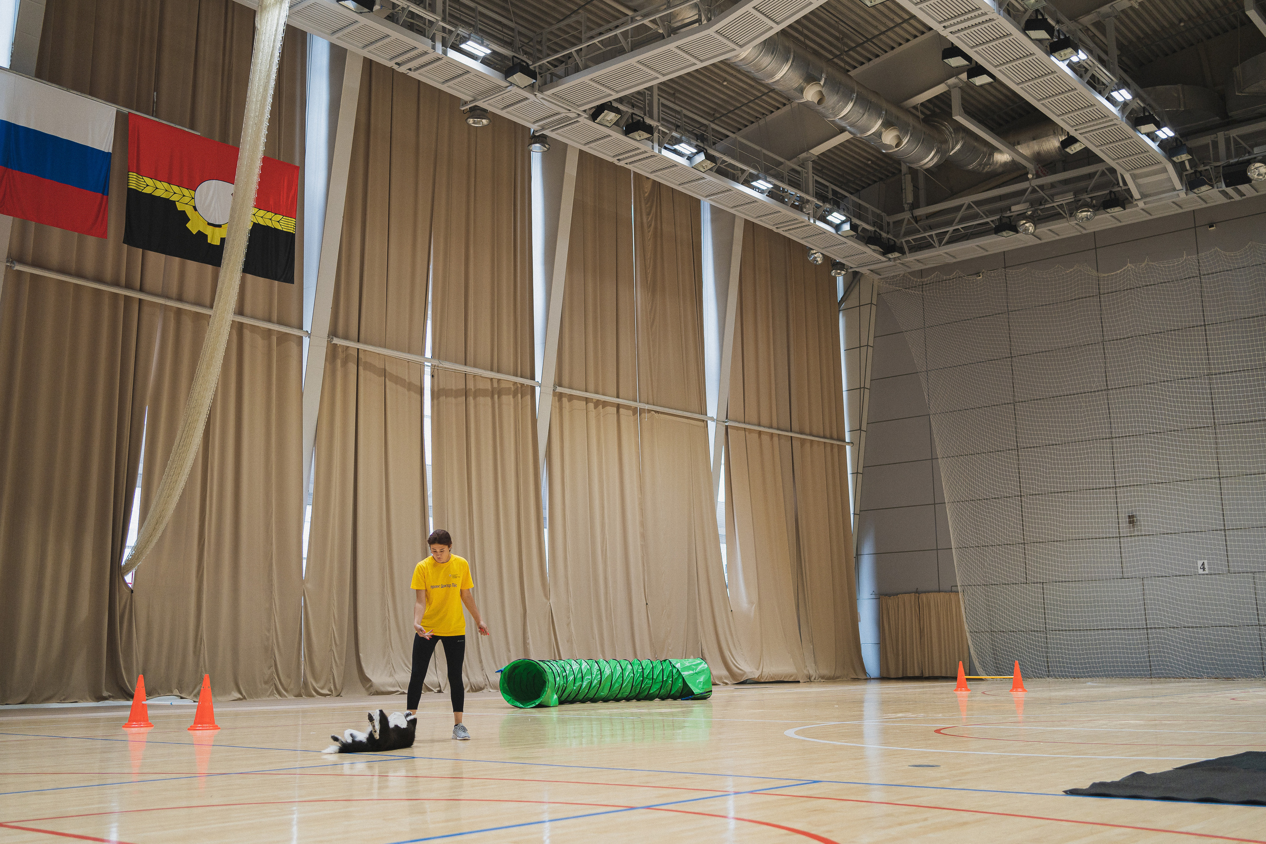 Семейный праздник «Доктор пес & компания» | 2022