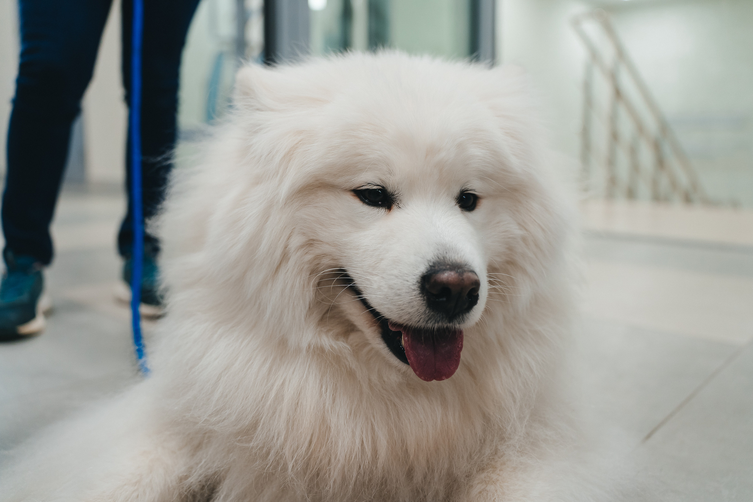 Региональный фестиваль добровольцев «Делаем добро в Кузбассе» | ЛДК | 2022