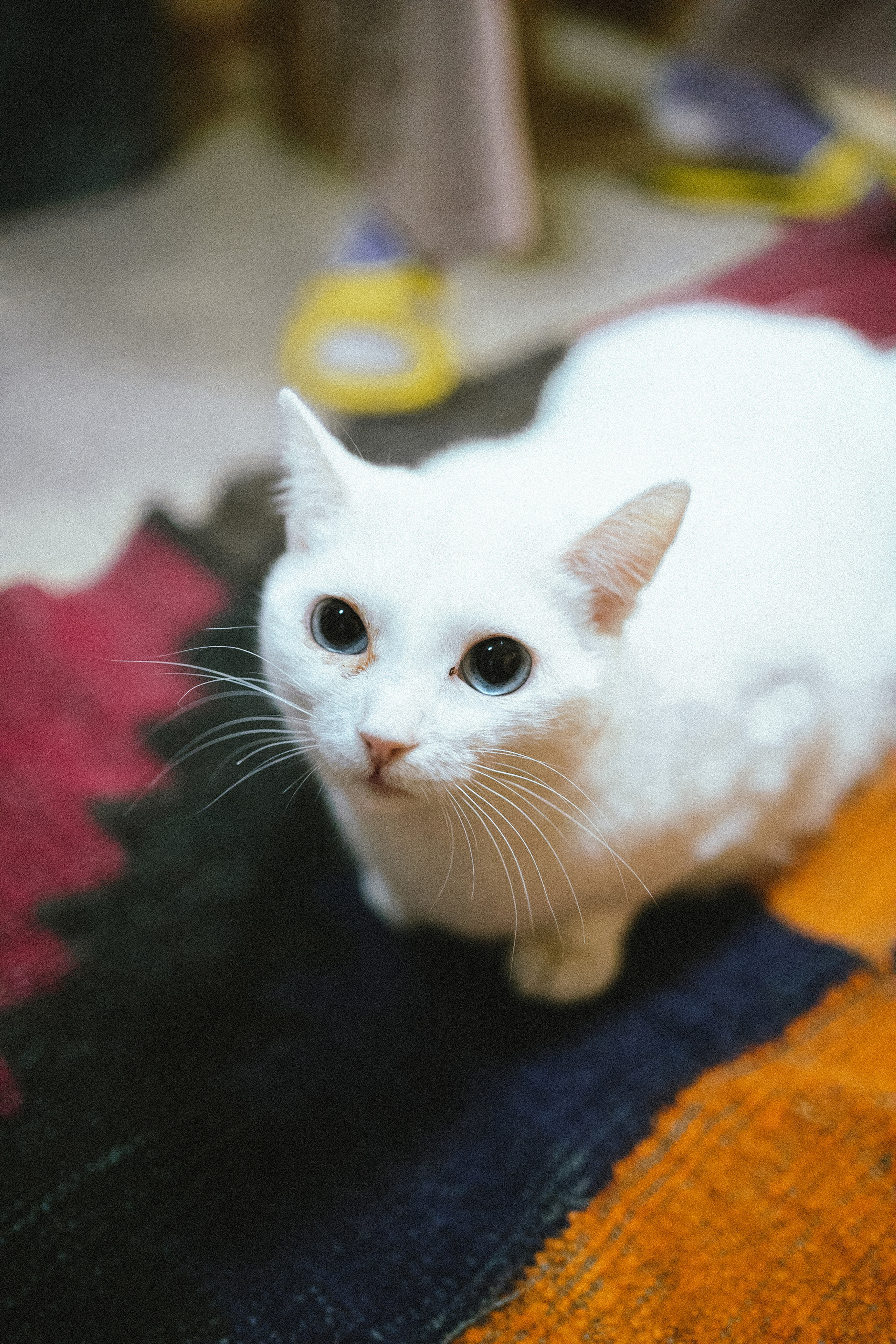 Всероссийская обучающая стажировка АВЦ в Кузбассе | 2022 | Кем-Белово-Новокуз