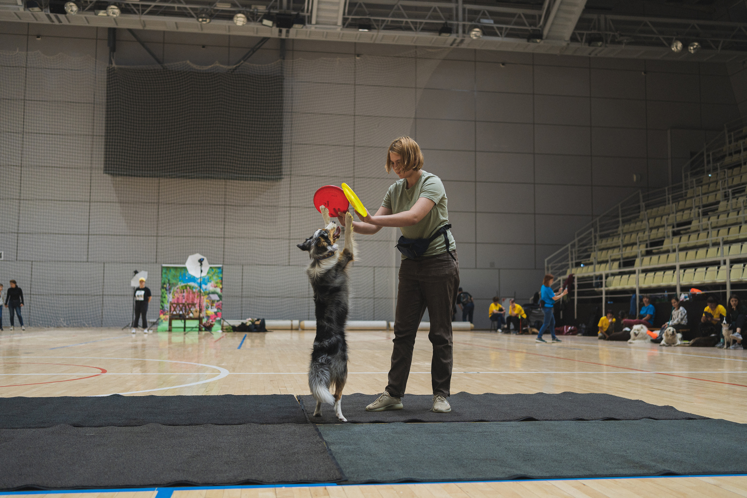 Семейный праздник «Доктор пес & компания» | 2022