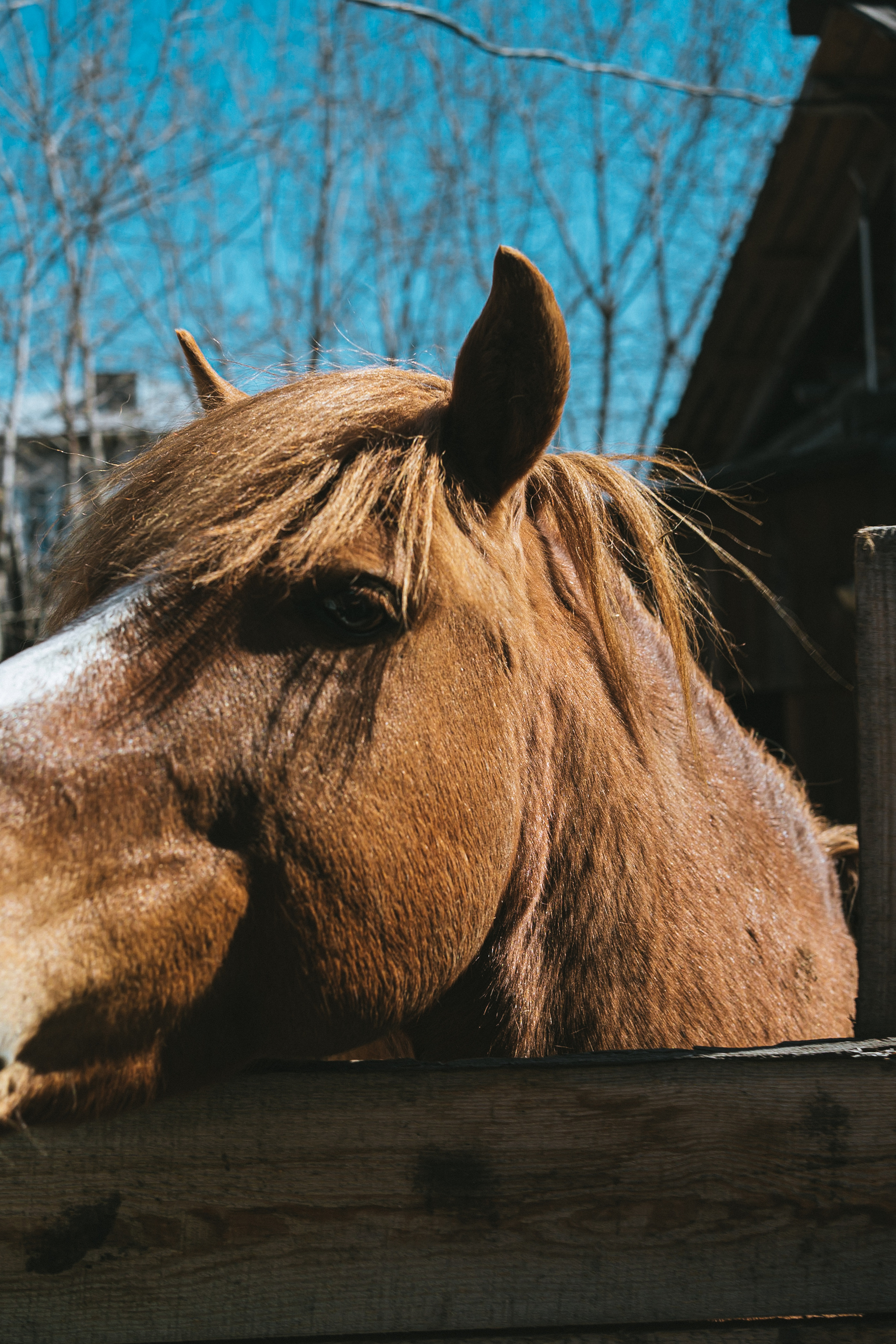 Всероссийская обучающая стажировка АВЦ в Кузбассе | 2022 | Кем-Белово-Новокуз